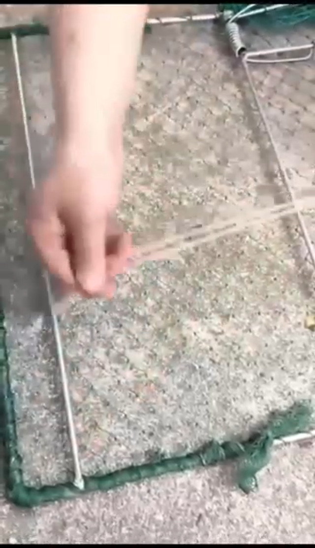 Watch How to use the bird trap on Amazon Live