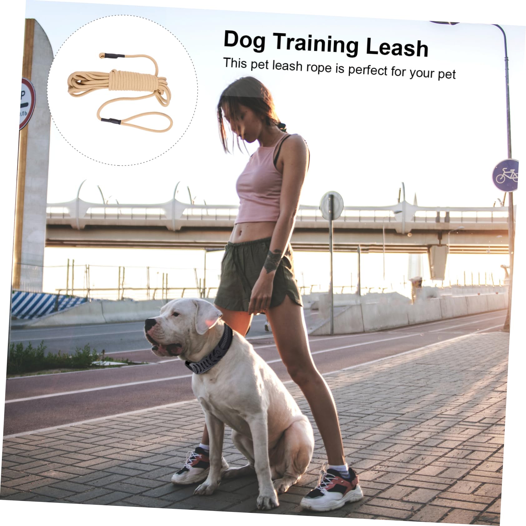Guinzaglio per Cani lungo Addestramento Outdoor, 10 M | Gancio, Polipropilene Khaki, Resistente ai Morsi e Ammortizzante, per Corsa e Camminata