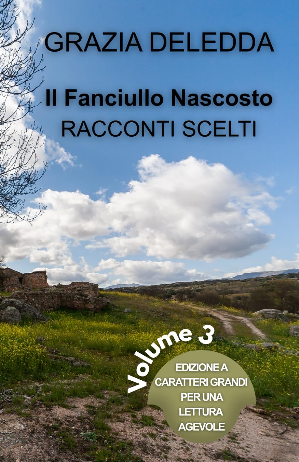 IL FANCIULLO NASCOSTO - NOVELLE SCELTE – volume 3: Edizione a caratteri grandi per una lettura agevole