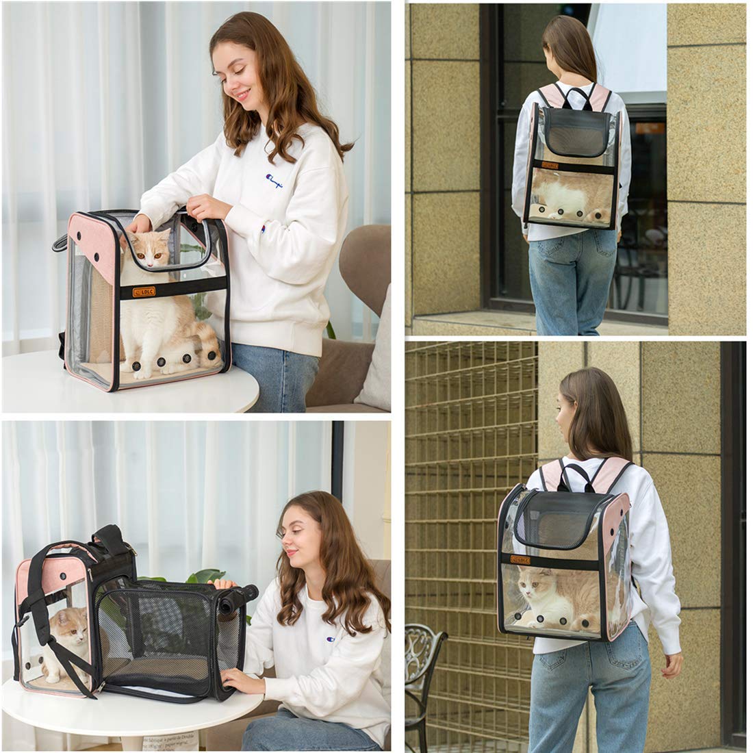 Transporttasche Rucksack Haustiere Hunde Katzen 10kg, Erweiterbare Große Tragbare Katzenrucksack Hunderucksack 4 Eintritt Top Öffnung Transparent Tragetasche Faltbar Airline Genehmigt Reisen
