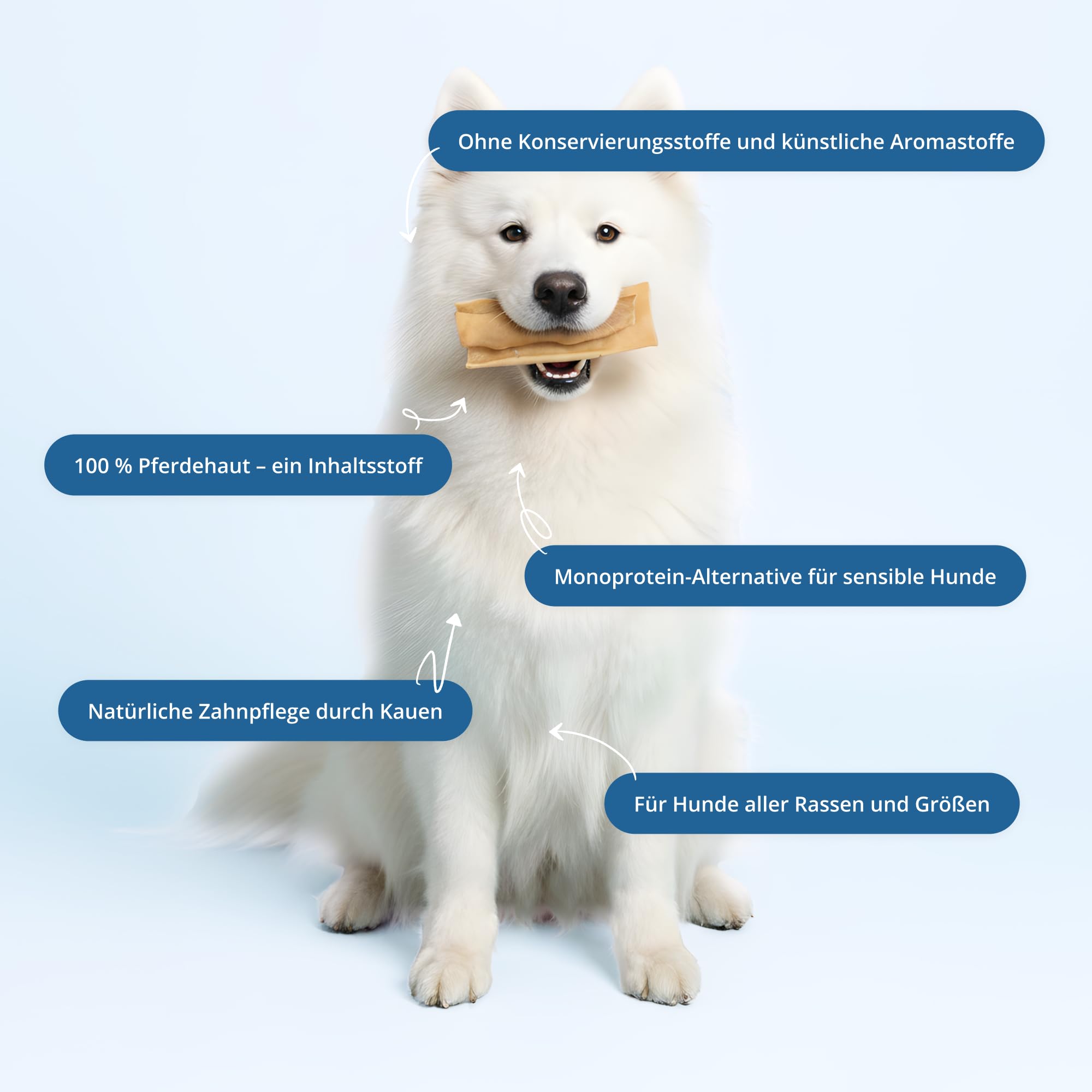 3 kg Pferdehaut für Hunde getrocknet - Hypoallergener Kausnack & Belohnung - Getrocknete Pferdekopfhaut Extra Hart - Idealer Kauartikel für Allergiker