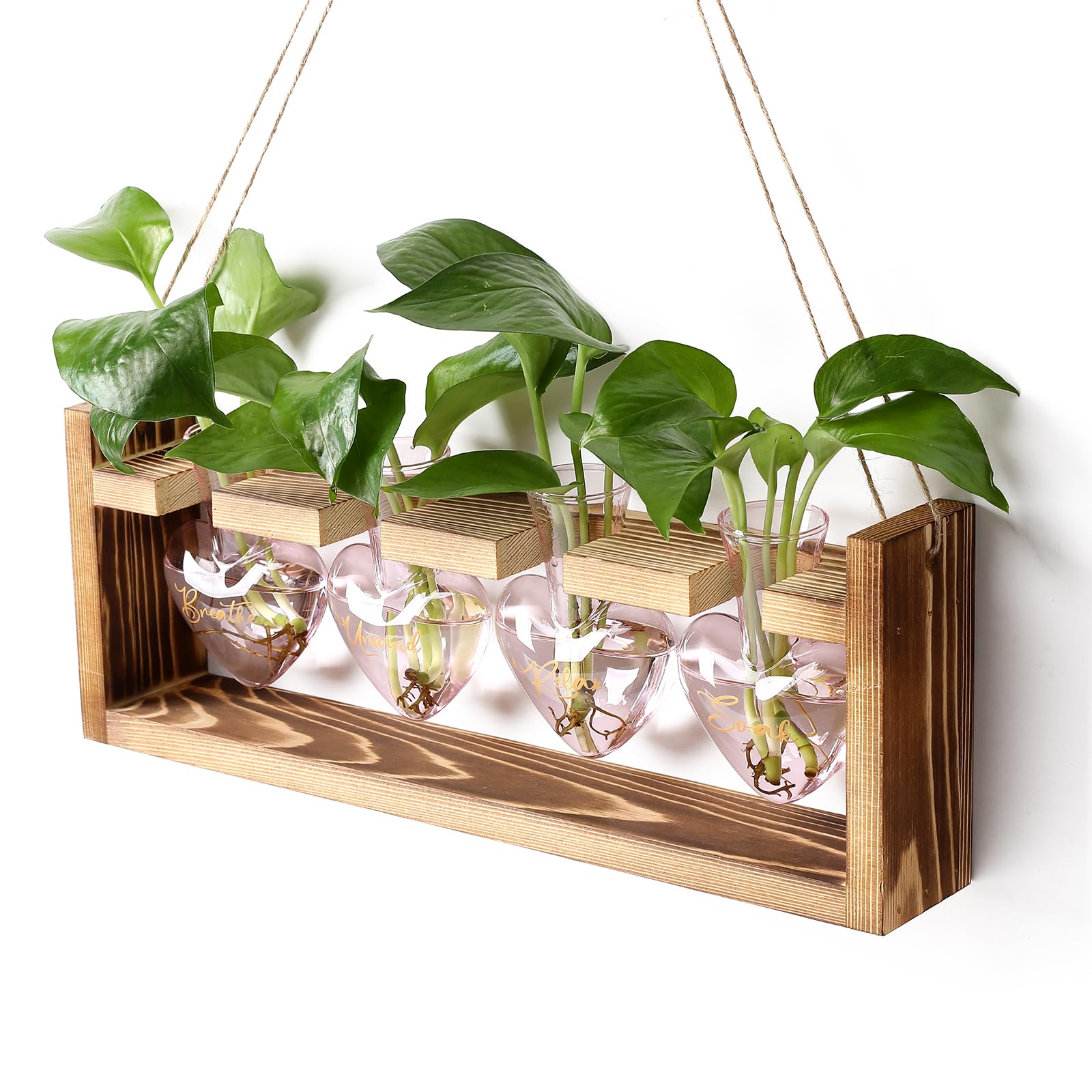 CYZglass Plants Propagation Stations Plant Terrarium Kit for Bathroom Glass Planters for Indoor Plants Bathroom Decor Accessories - Relax Soak Unwind Breathe