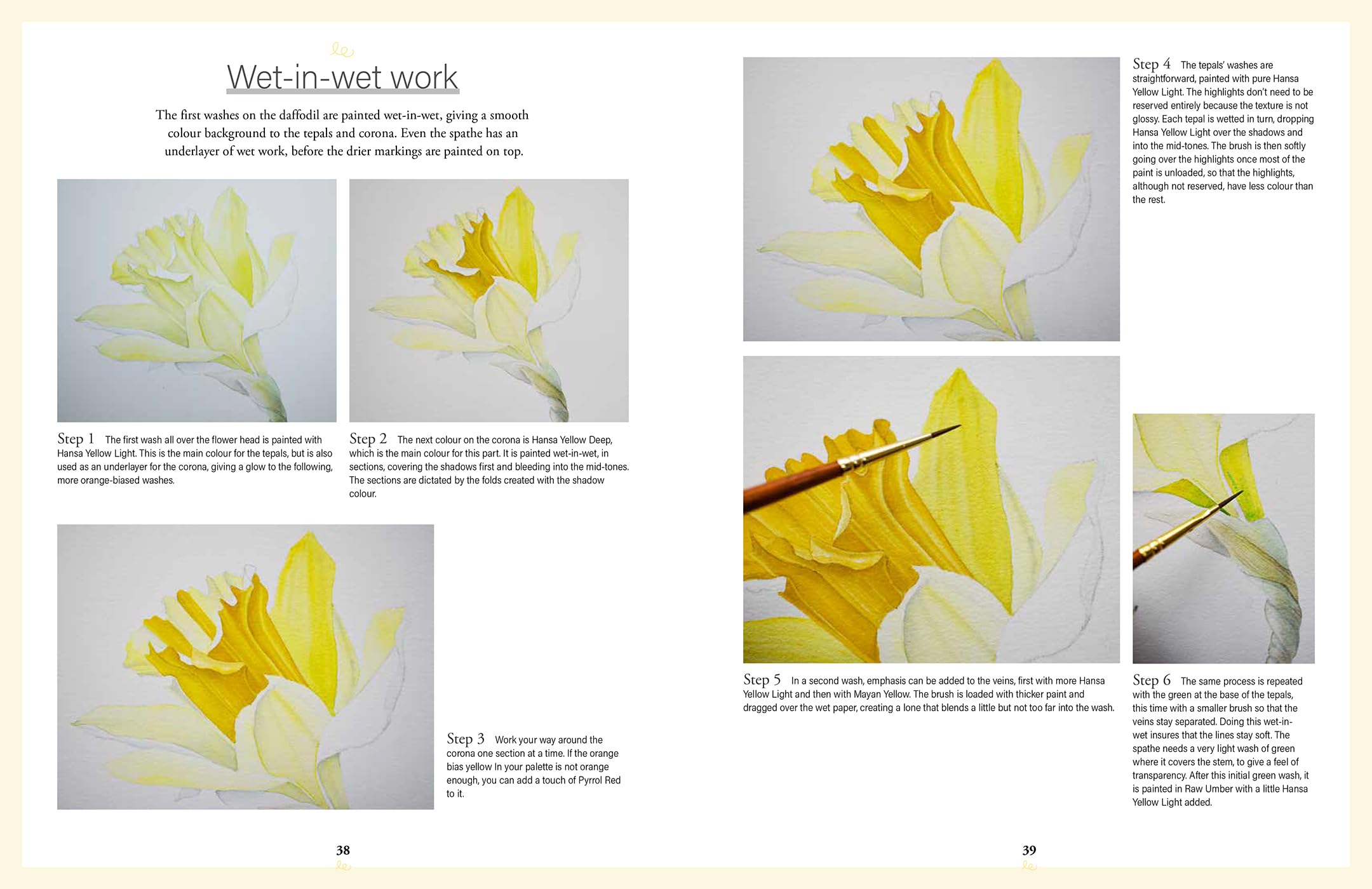 Botanical Watercolours through the seasons: An All-year-round Guide to Painting Flowers and Plants