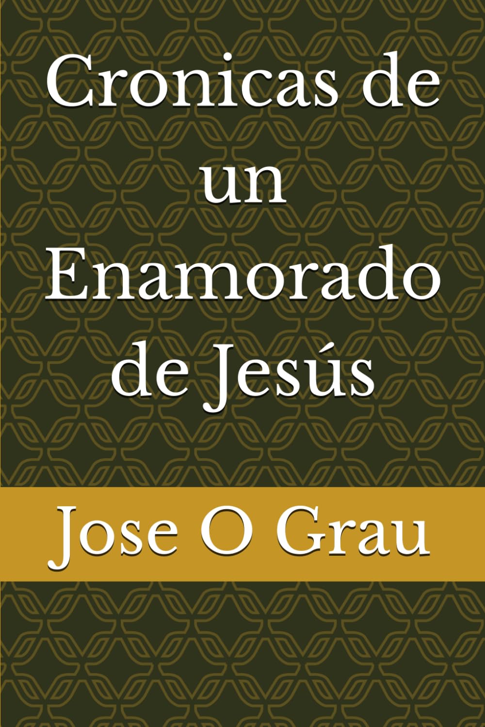 Cronicas de un Enamorado de Jesús