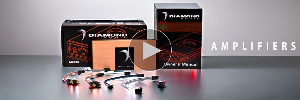 Amazon.com: Diamond Audio High-Power Monoblock Full Range