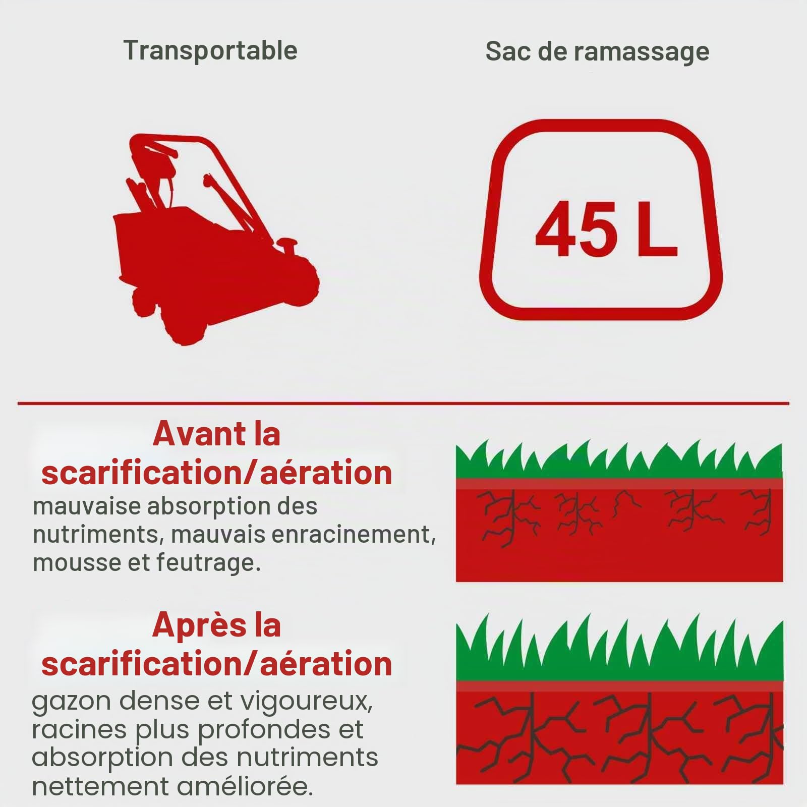 Scheppach Scarificateur thermique SC50VARIO avec huile incluse