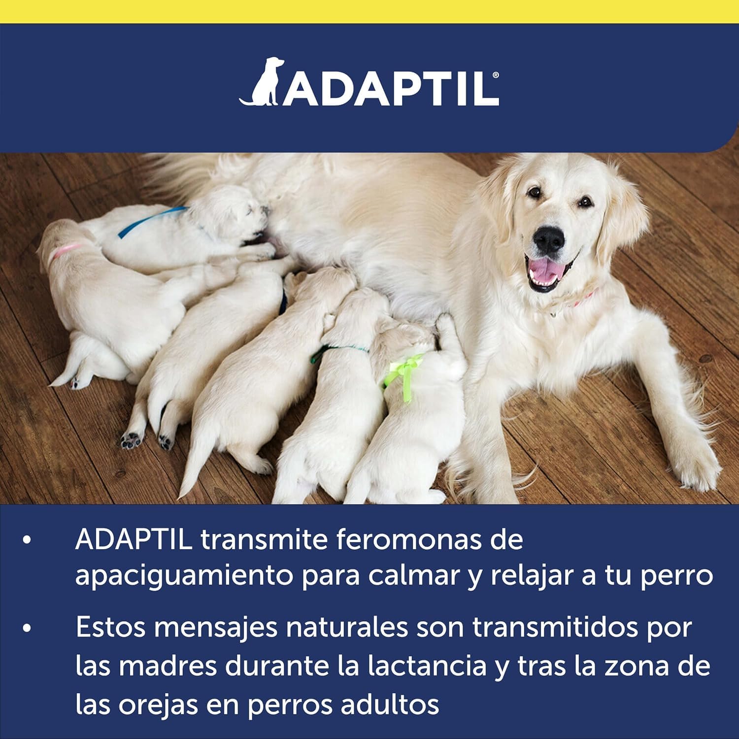 Adaptil Pack Antiestrés para Cachorros - Collar Junior + Spray Transport 60 ml - Calma y Seguridad - Reduce Miedos y Ansiedad - Ideal para Adaptación, Aprendizaje y Viajes