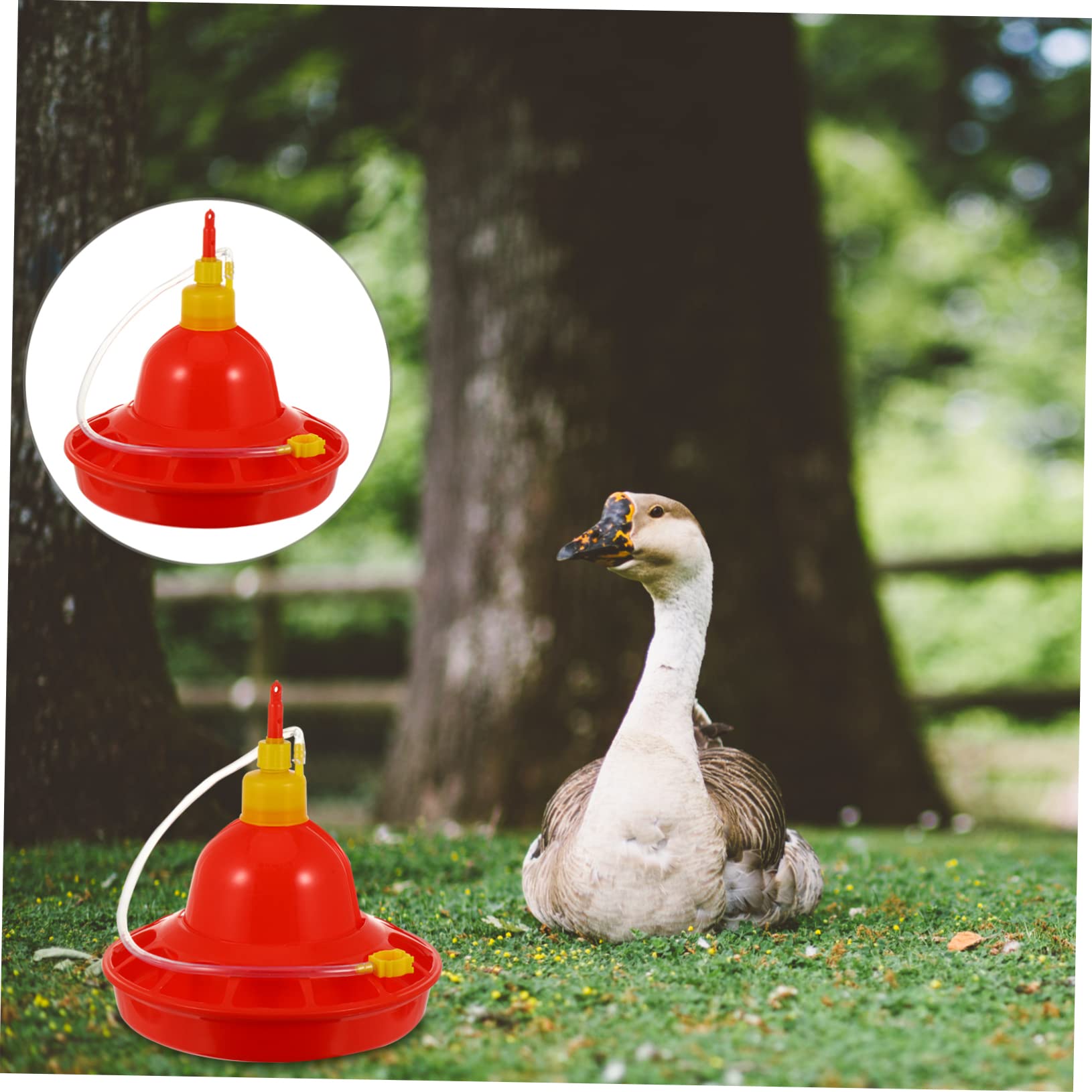 SUPVOX Abbeveratoio Automatico in Plastica Rossa per Pollame e Oche Resistente al Freddo alle Crepe, per Uso in Fattoria e'aperto