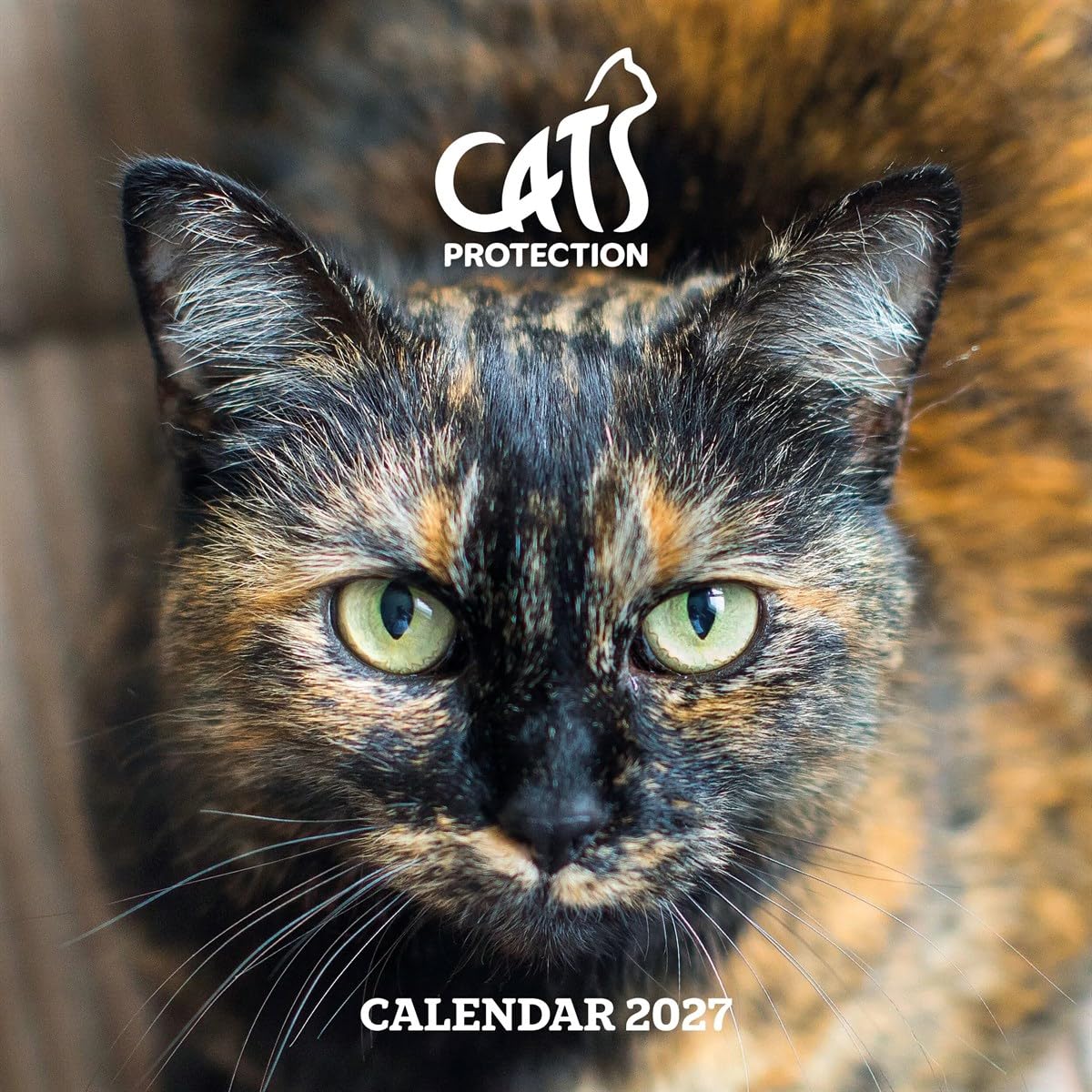 Carousel Worldwide Cats Protection 2027 Square Wall Calendar, 12-Month Calendar, Cat Photography Supporting Charity