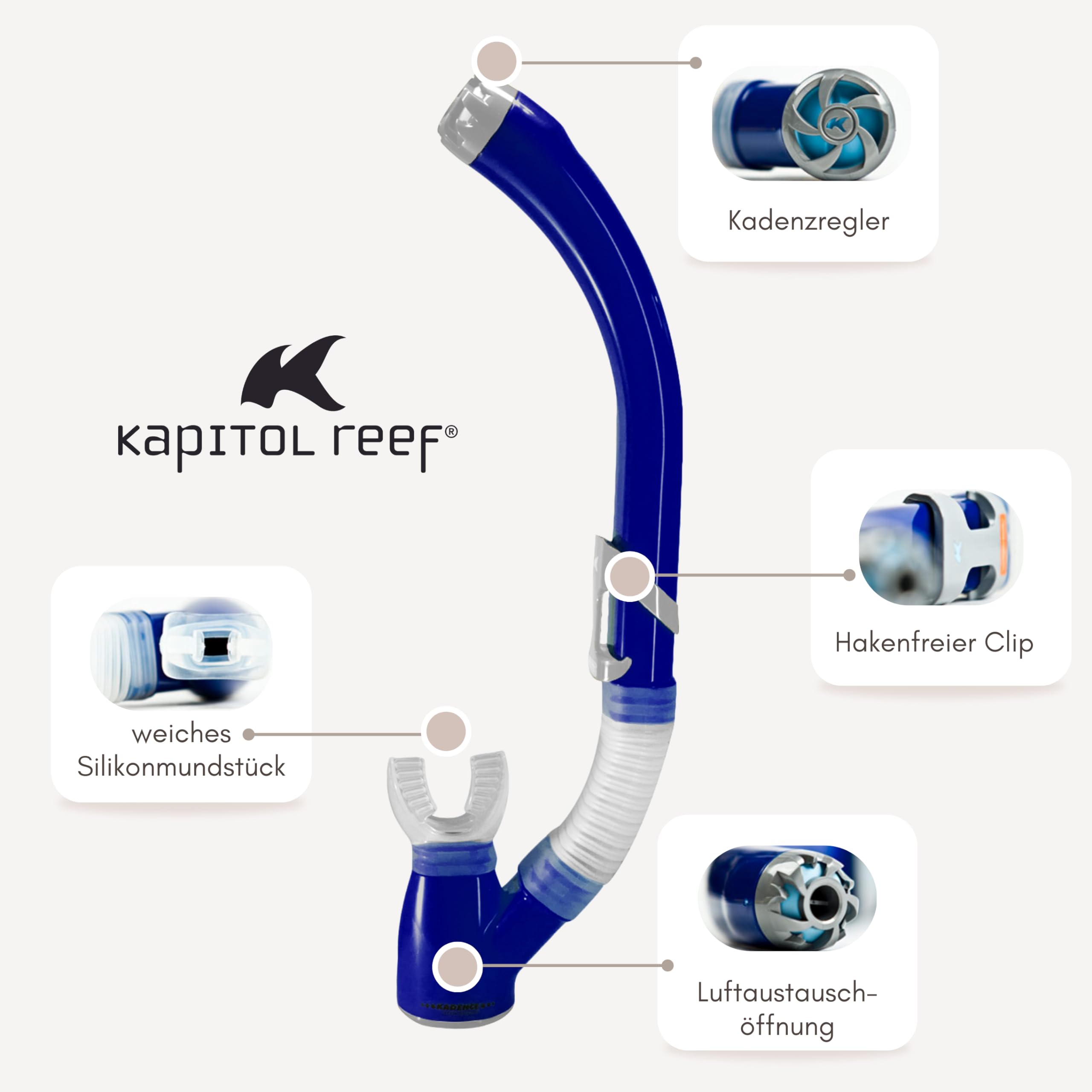 Kapitol Reef Reef - Snorkel