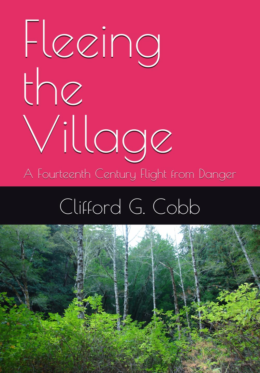 Fleeing the Village: A Fourteenth Century Flight from Danger (Tales of Mystery and Imagination)