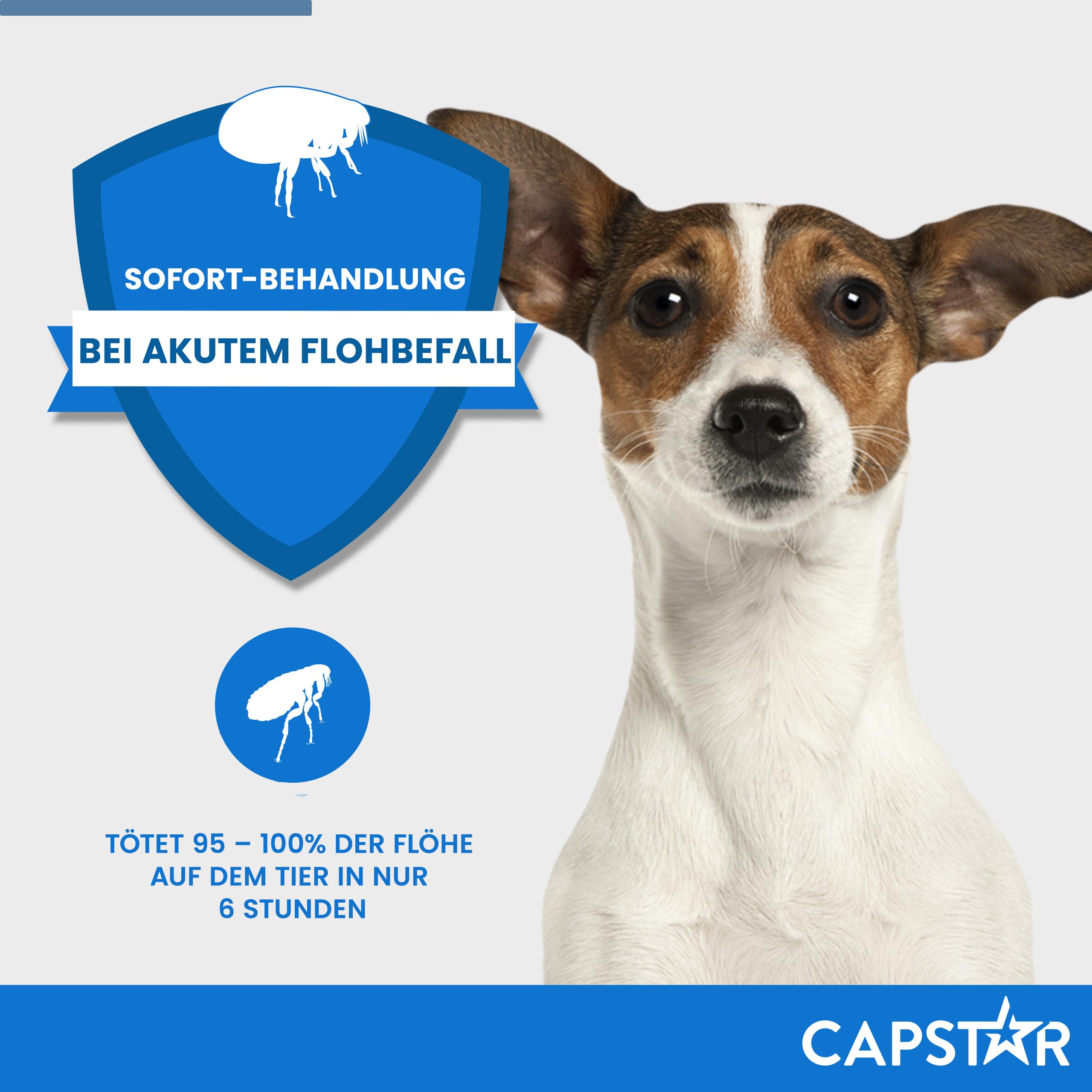 Capstar Flohtabletten für Katzen & kleine Hunde 1-11kg, 6 Stück | Zur Sofortbehandlung bei akutem Flohbefall. Wirkt schnell ab 15 Minuten. Einfache orale Eingabe gegen Flöhe