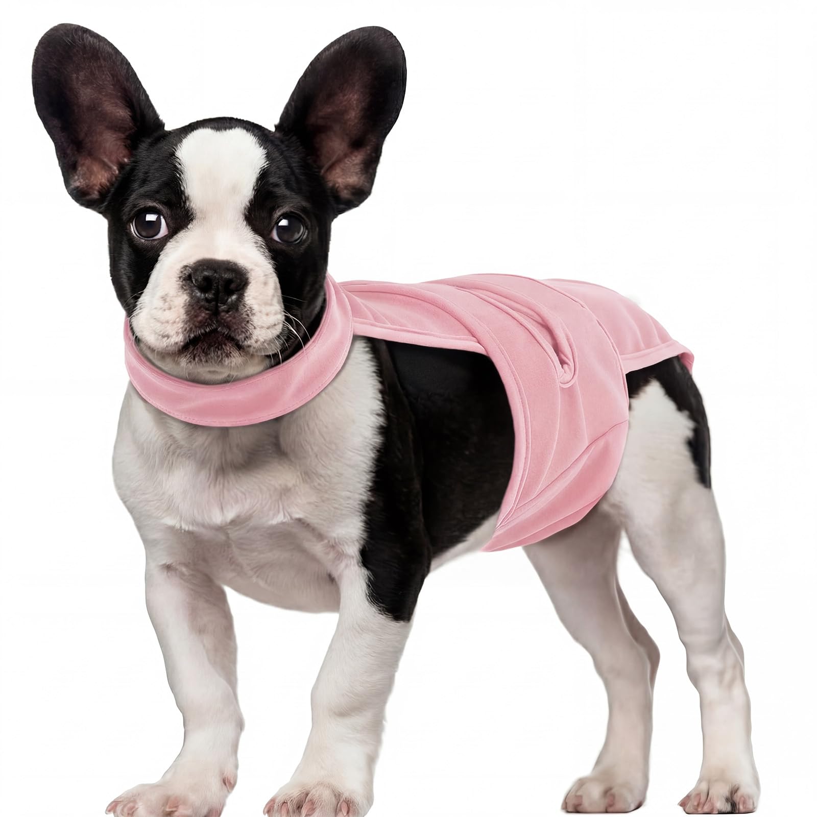 QBLEEV Pañales para perros hembras con tirantes ajustables, bragas sanitarias lavables para perros en celo o incontinencia, a prueba de escapes, reutilizable, ropa interior para mascotas de razas