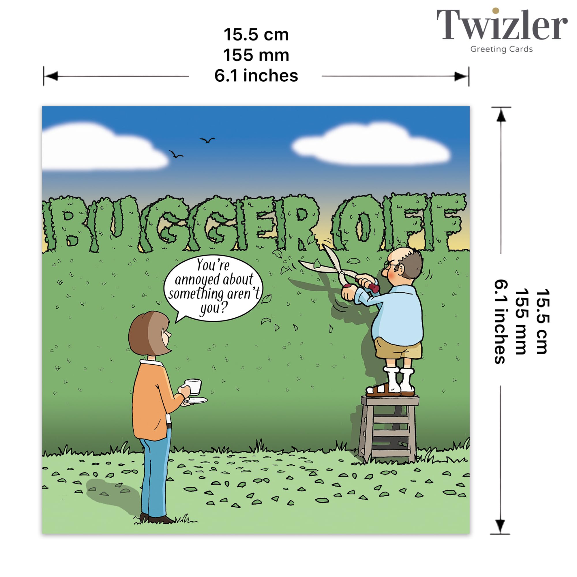 Twizler Biglietto Di Compleanno Divertente 'Sedia Lavanderia' - Umoristico Per Figlio, Marito, Amico