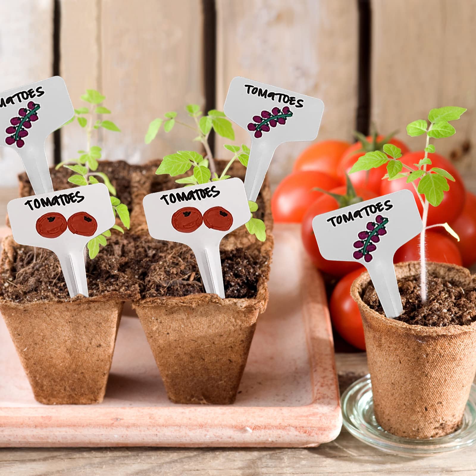 200 Etiquettes Plantes T Plastique 6x10cm Avec Stylo - Etiquettes Jardin Réutilisables Blanc