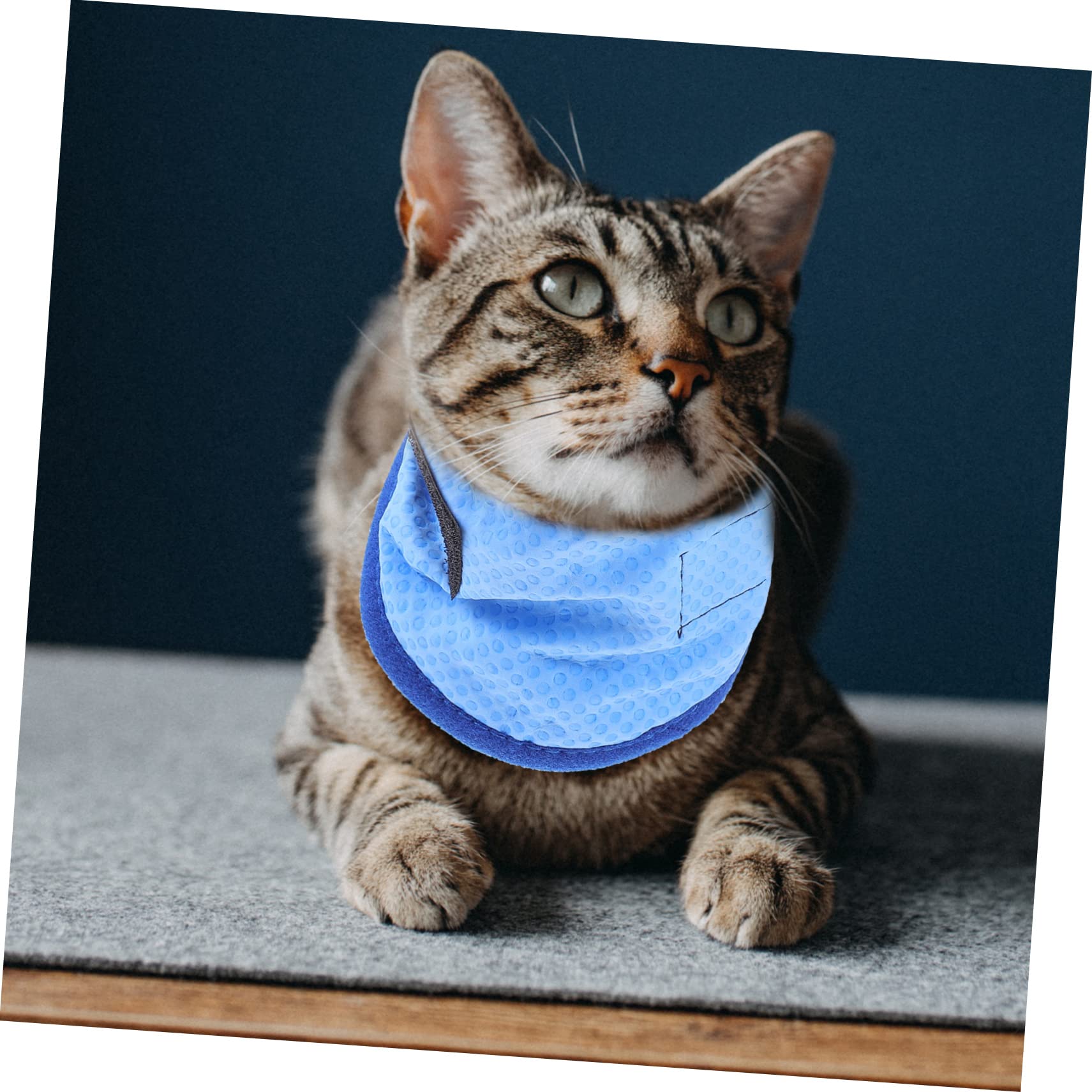 Kisangel 4stücke Kühlendes Hundehalsband Aus Atmungsaktivem Material Accessoire Für Sommerpartys Und Outdoor-aktivitäten Mit Innovativer Kältetechnologie Für Sofortige Abkühlung