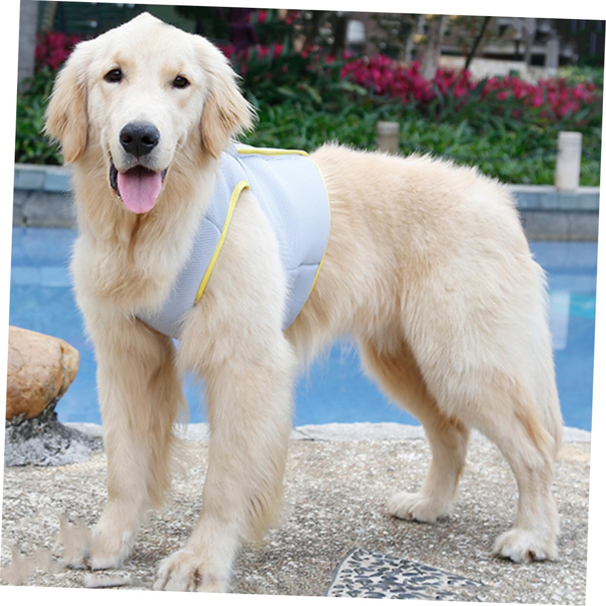 Gilet Refroidissant pour Chien Respirant pour Animaux De Compagnie La Chaleur XL