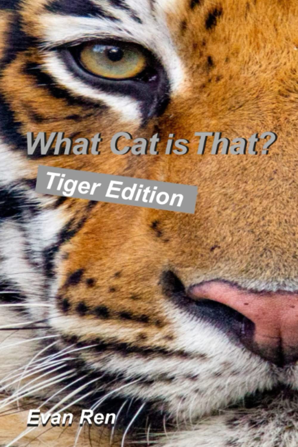 What Cat is That?: Tigers