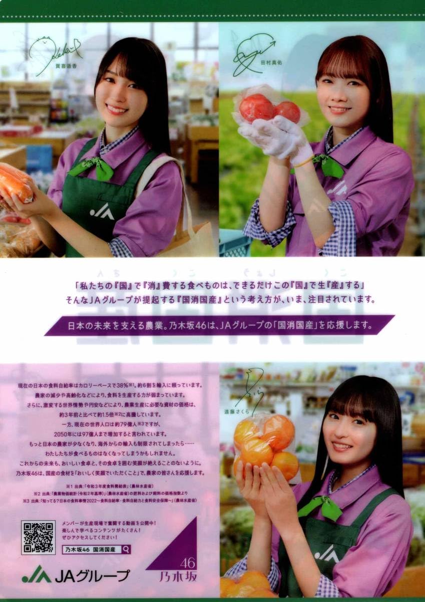 Amazon.co.jp: 乃木坂46 JAグループ クリアファイル 国消国産 2