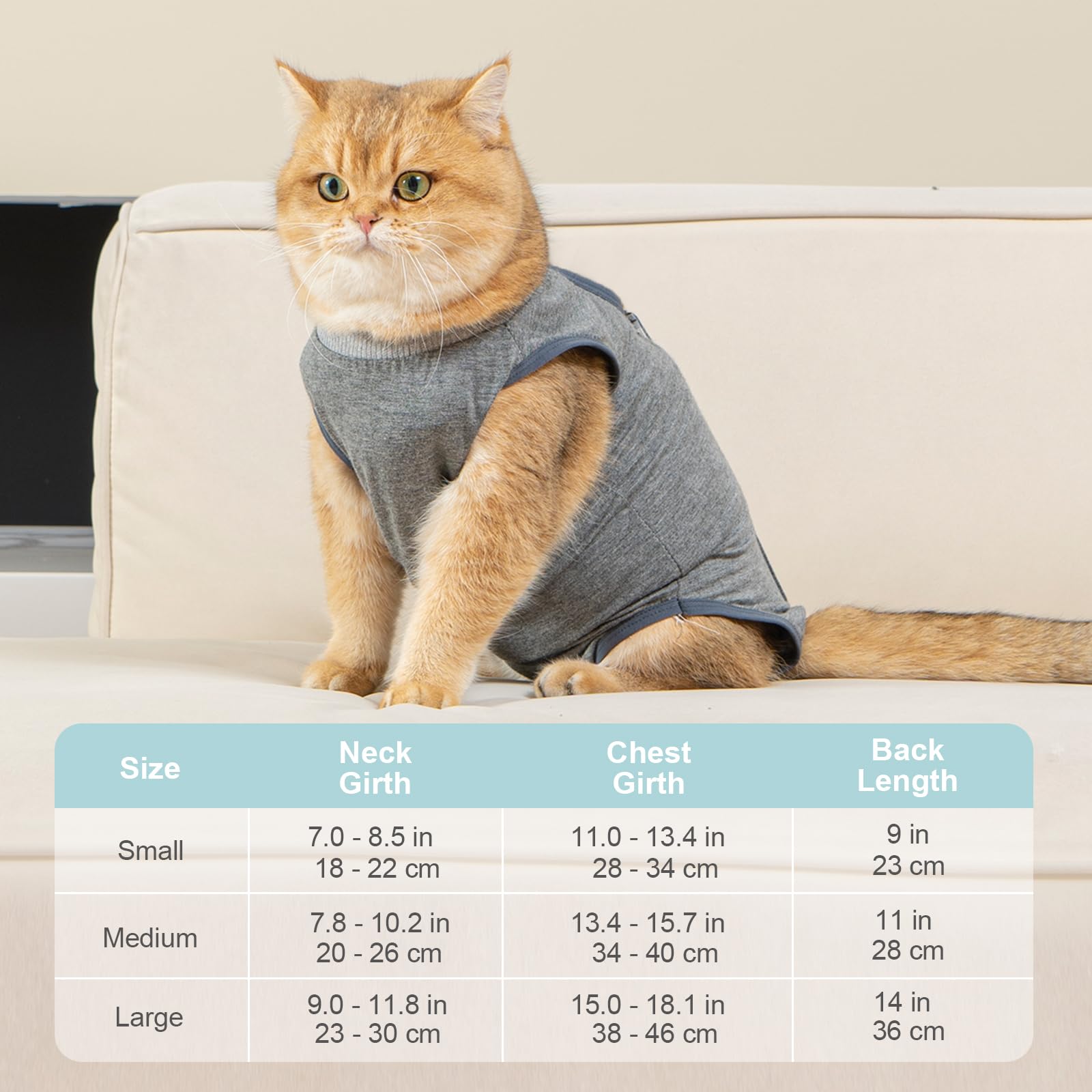 Cat Cone Recovery Suit For Dogs Avont Kitten Onesie For Cats After cat-cone-recovery-suit-for-dogs-avont-kitten-onesie-for-cats-after