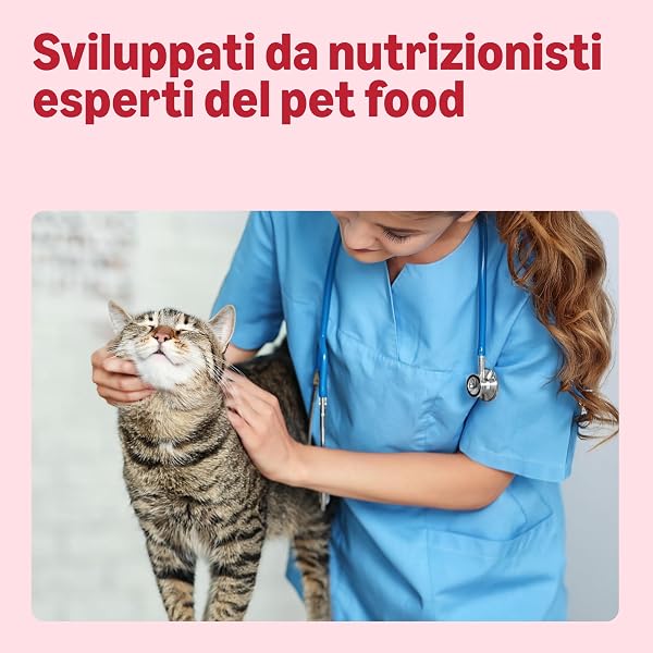by Amazon Cat Snack with Salmon 70g - 4