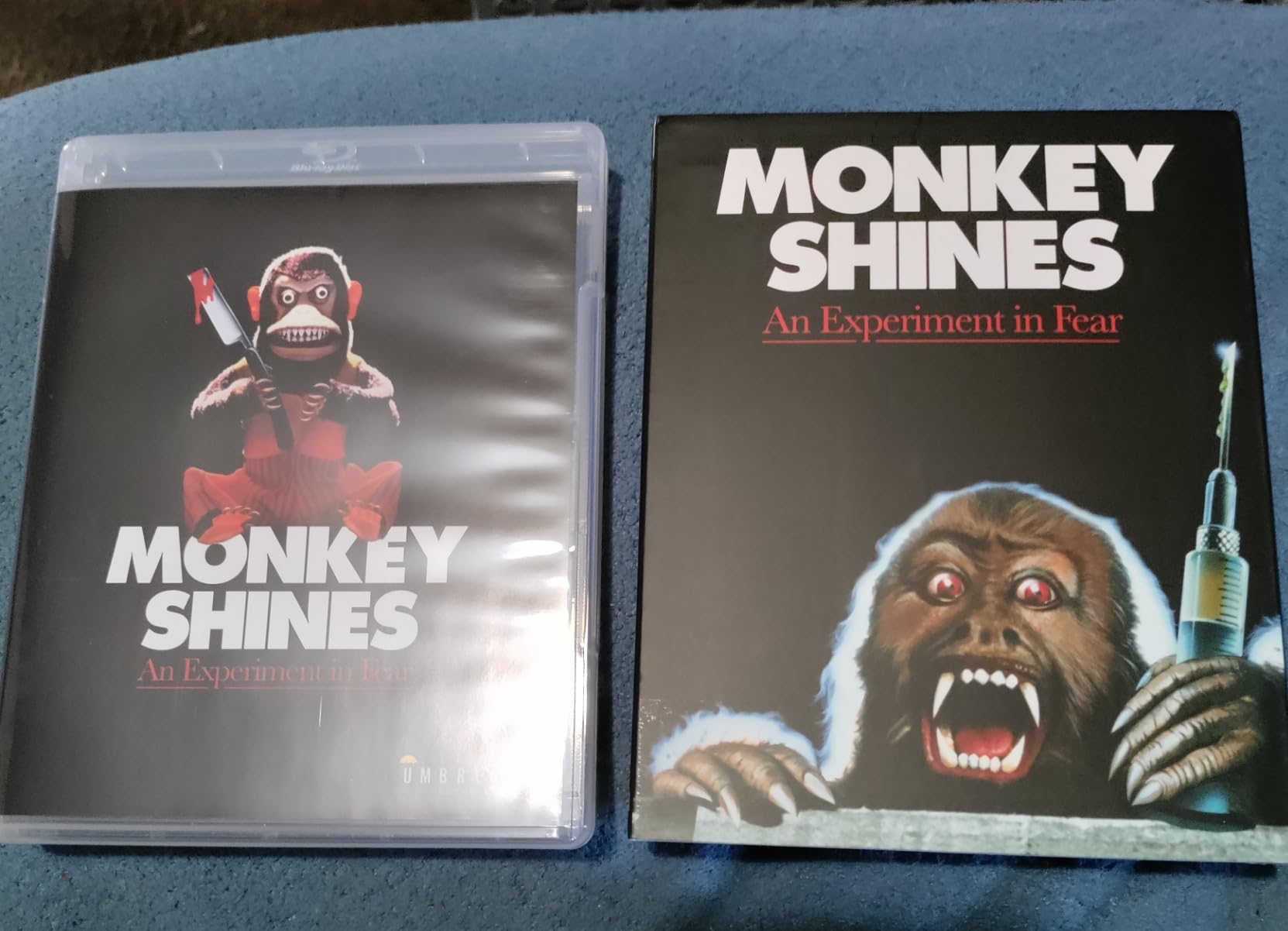 monkey shines an experiment in fear