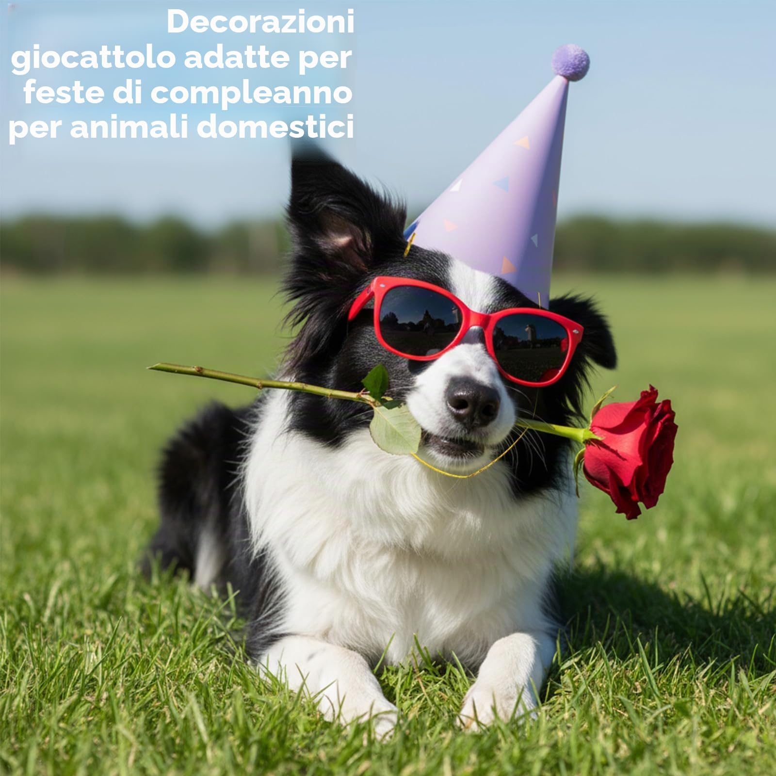 Tucnoeu 6 cappelli di compleanno per cani e gatti, mini cappello colorato per feste, cappello regolabile per animali domestici con pompon per piccoli animali, cappelli di carta arcobaleno per