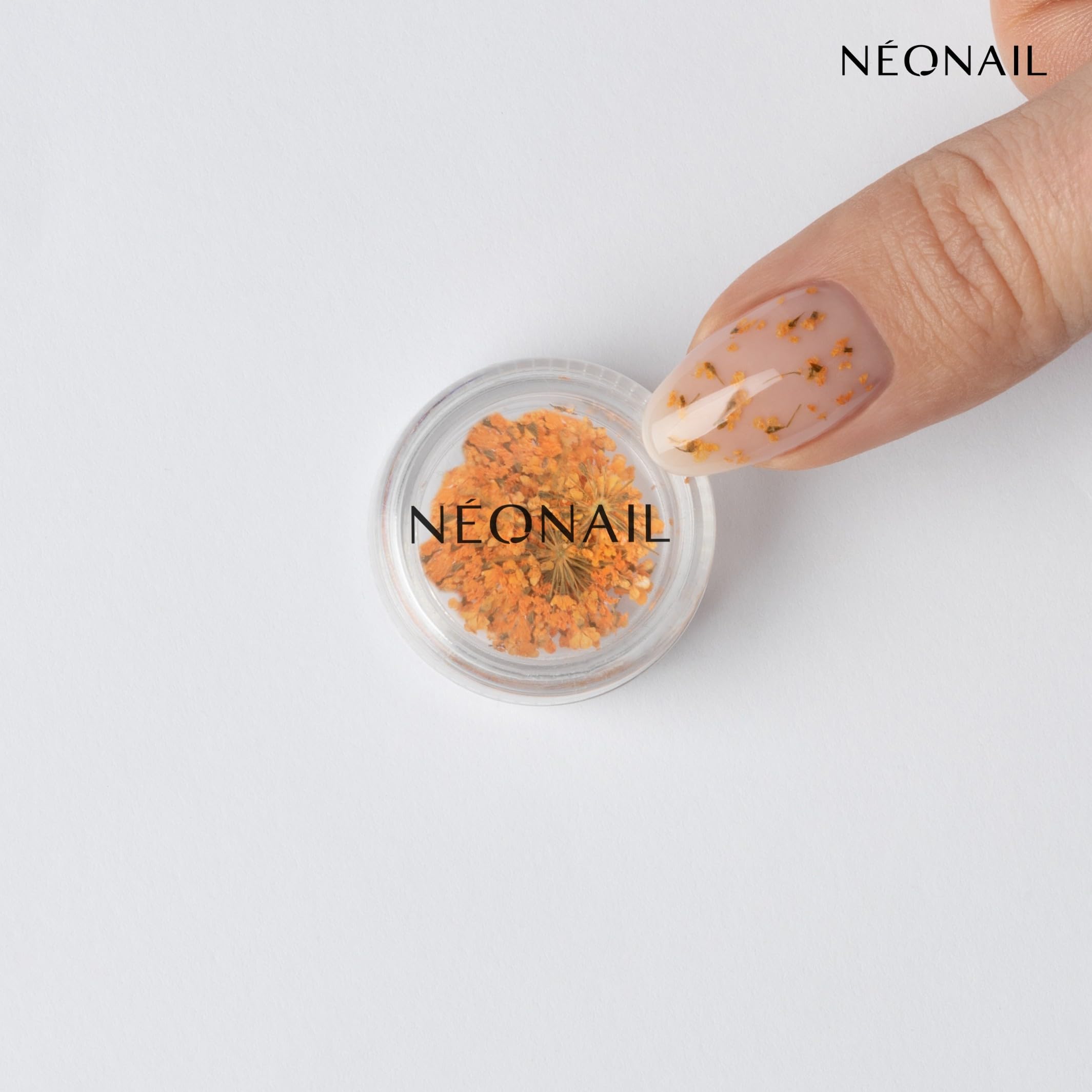 NEONAIL Fleurs Séchées - Set de décoration d'ongles - Nail Art Ongles - Deco Ongle Nail Art - Accessoire Ongle - 3 couleurs - rose, violet, orange