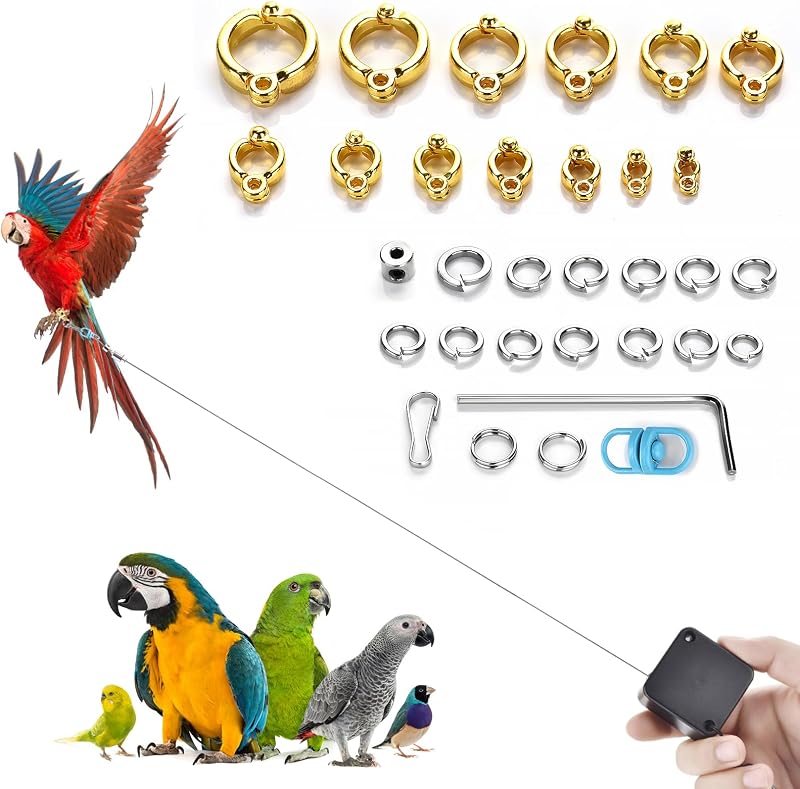 Guia para Aves com Anéis para Pata em 13 Tamanhos 3BAO, 2,01 m, Dourada
