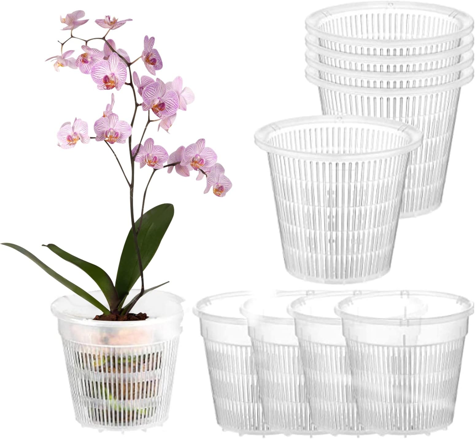 10 Pcs Clear Plastic Orchid Pots, 1