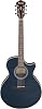 Ibanez AE100-DBF Solid Sitka Spruce Top