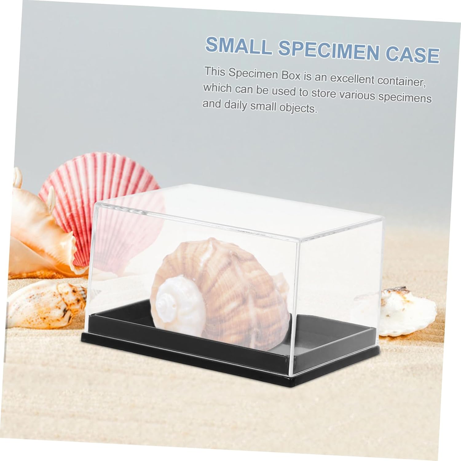 4Pcs Small Display Case for Minerals and Craft Beads image 4