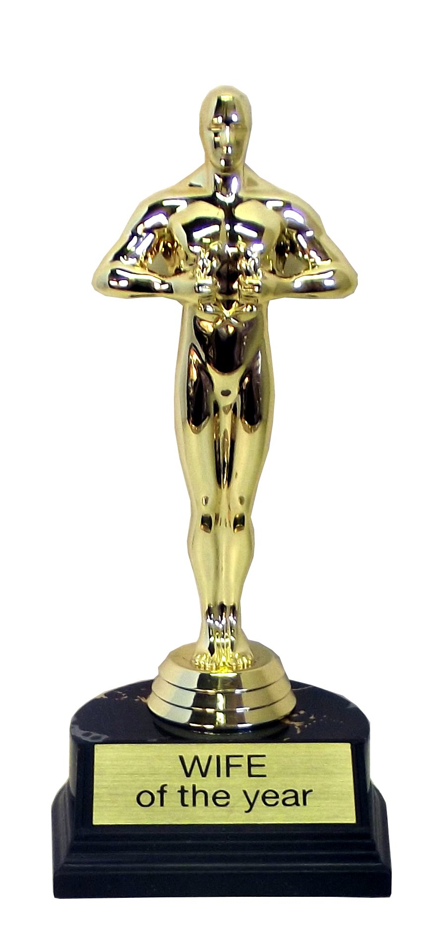 aahs!! Engraving World's Best Award Trophy (Wife of The Year (7 inches))