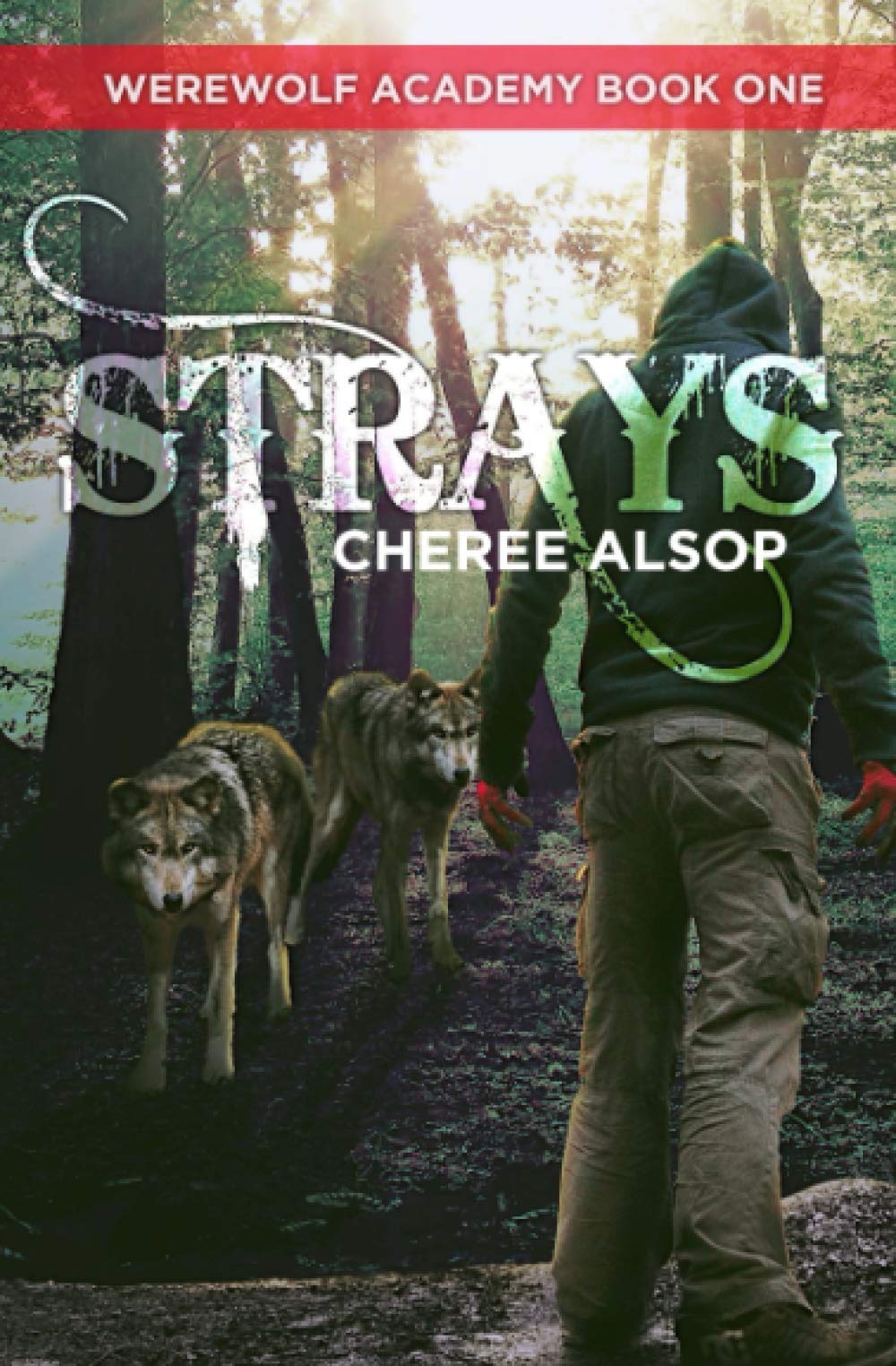 Strays: Werewolf Academy, Book 1