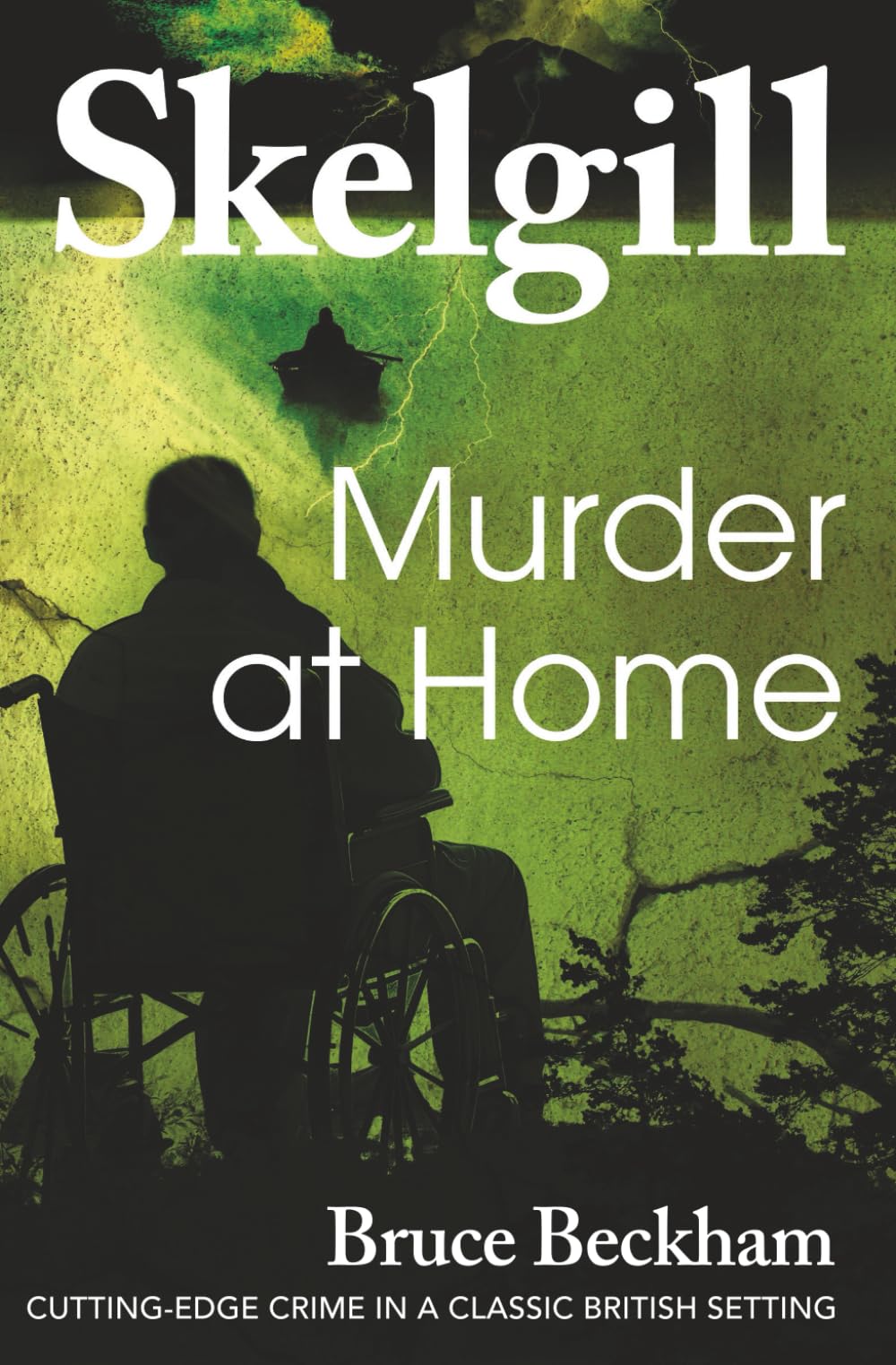 Murder at Home (Detective Inspector Skelgill Investigates)