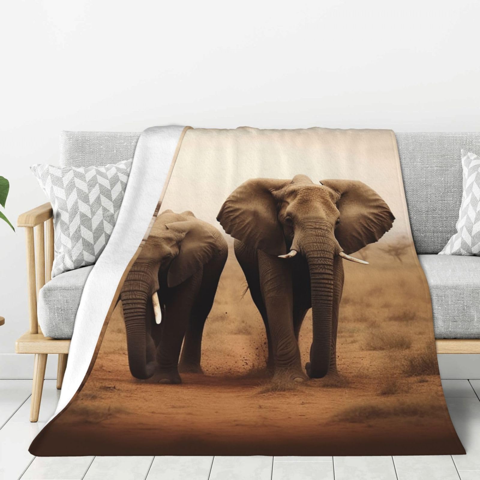 Wild Animals Elephants Throw Blanket Plush Flannel Fleece Blanket, Soft Lightweight Cozy Blankets 60"X50" for Bed Couch Sofa Travel