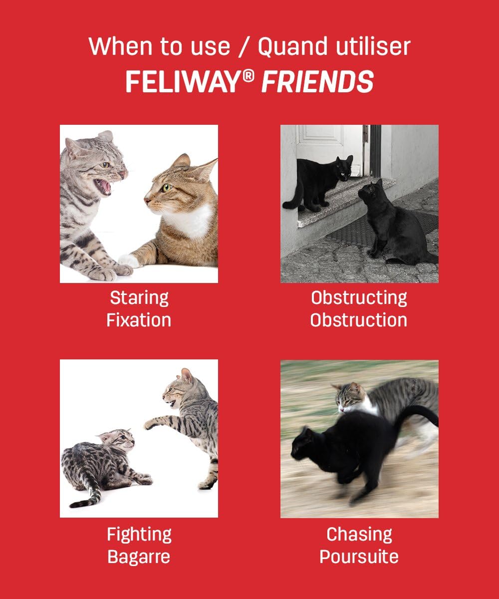 feliway friends refill multi pack