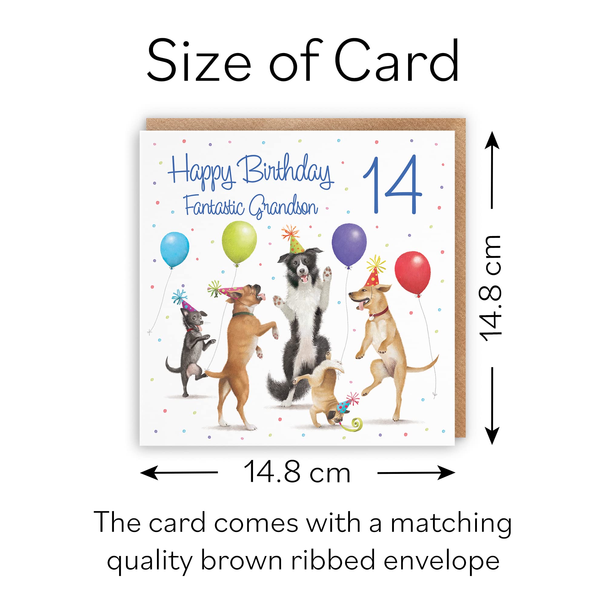 Hunts England - 14th Grandson Birthday Card - Dancing Dogs - Fantastic Grandson - Age 14 - Funny Boy's 14th Birthday Card - Milo's Gallery - Age Fourteen — view 5
