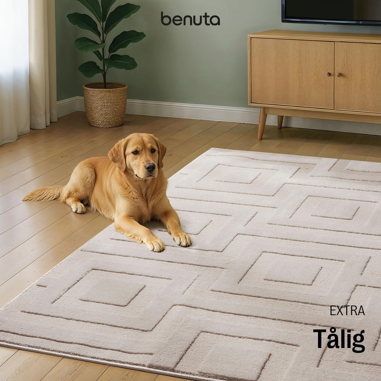 benuta Basic Carpet Claire - Cream 160x230cm - Minimalist geometric retro living room - Easy care - Suitable for underfloor heating 160 x 230 cm (Rektangulär) Cream C1