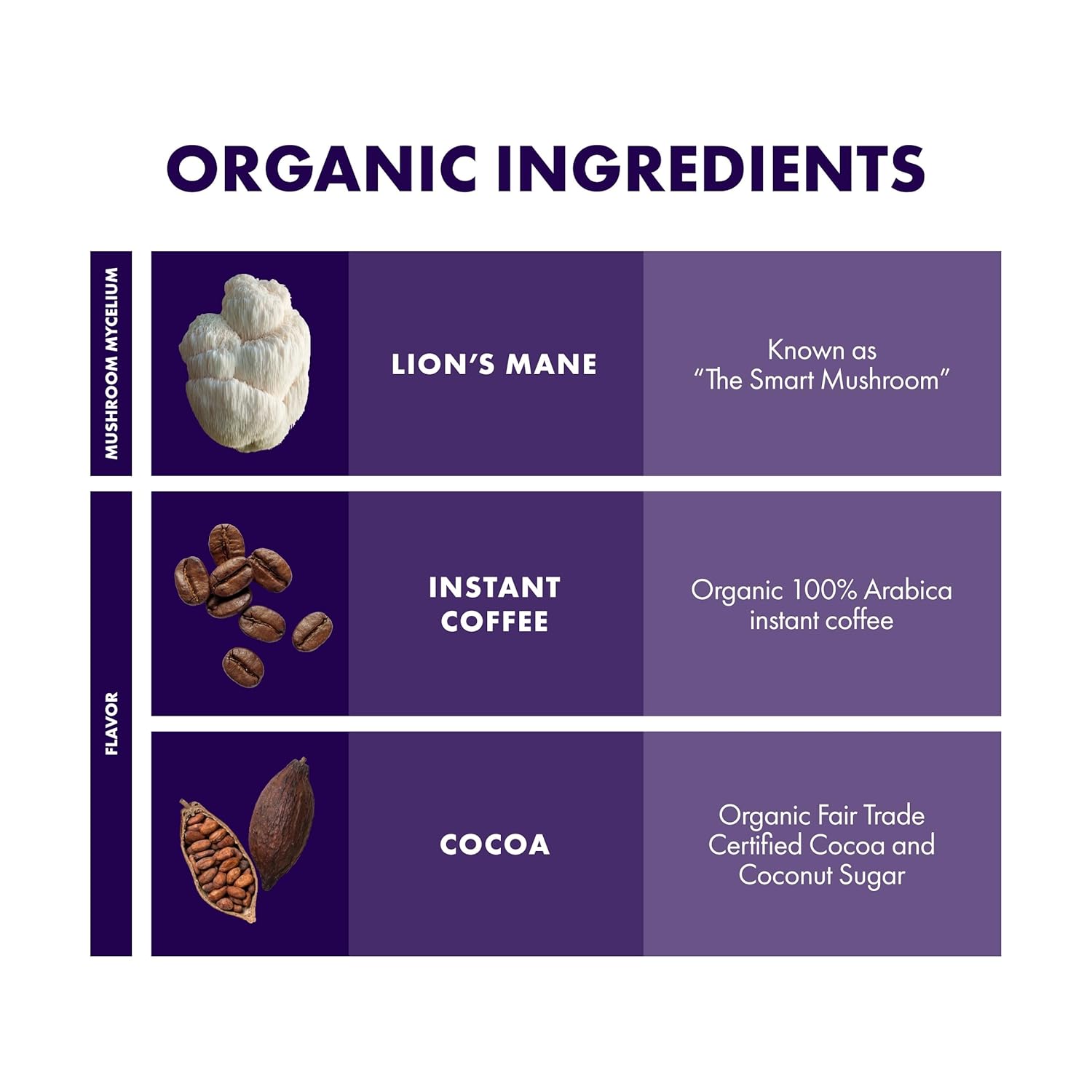 Host Defense MycoBrew Mocha - Mocha Drink Mix - Includes Lion's Mane Mushroom - Drink Mix with Fair Trade Certified Cocoa & 100% Arabica Instant Coffee - 10.5 oz (20 Servings)