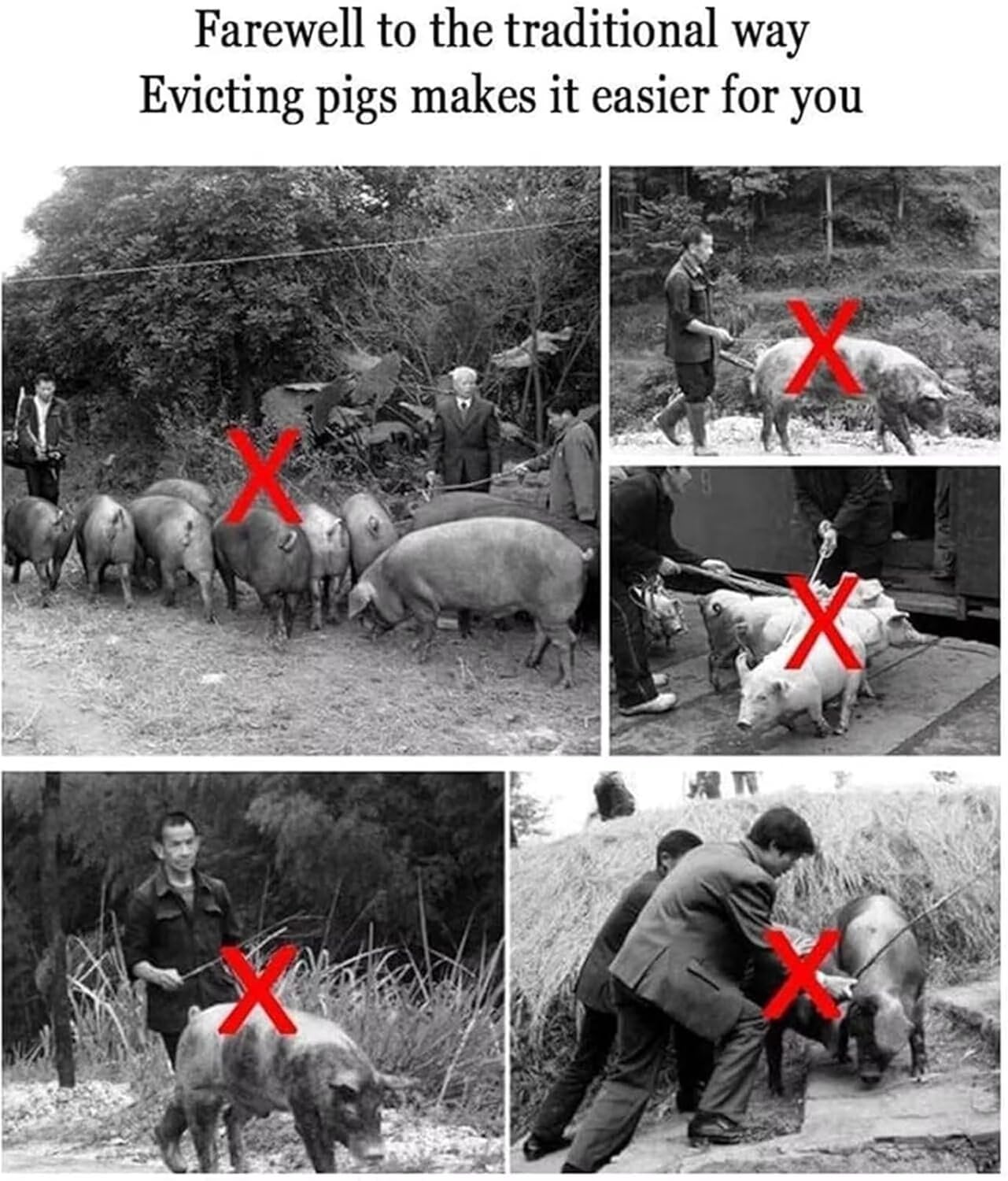 Palo eléctrico para ganado, impermeable, recargable, eléctrico, para aturdir animales, para vaca, cerdo, ganado, cabras, perro grande y más, funciona con pilas