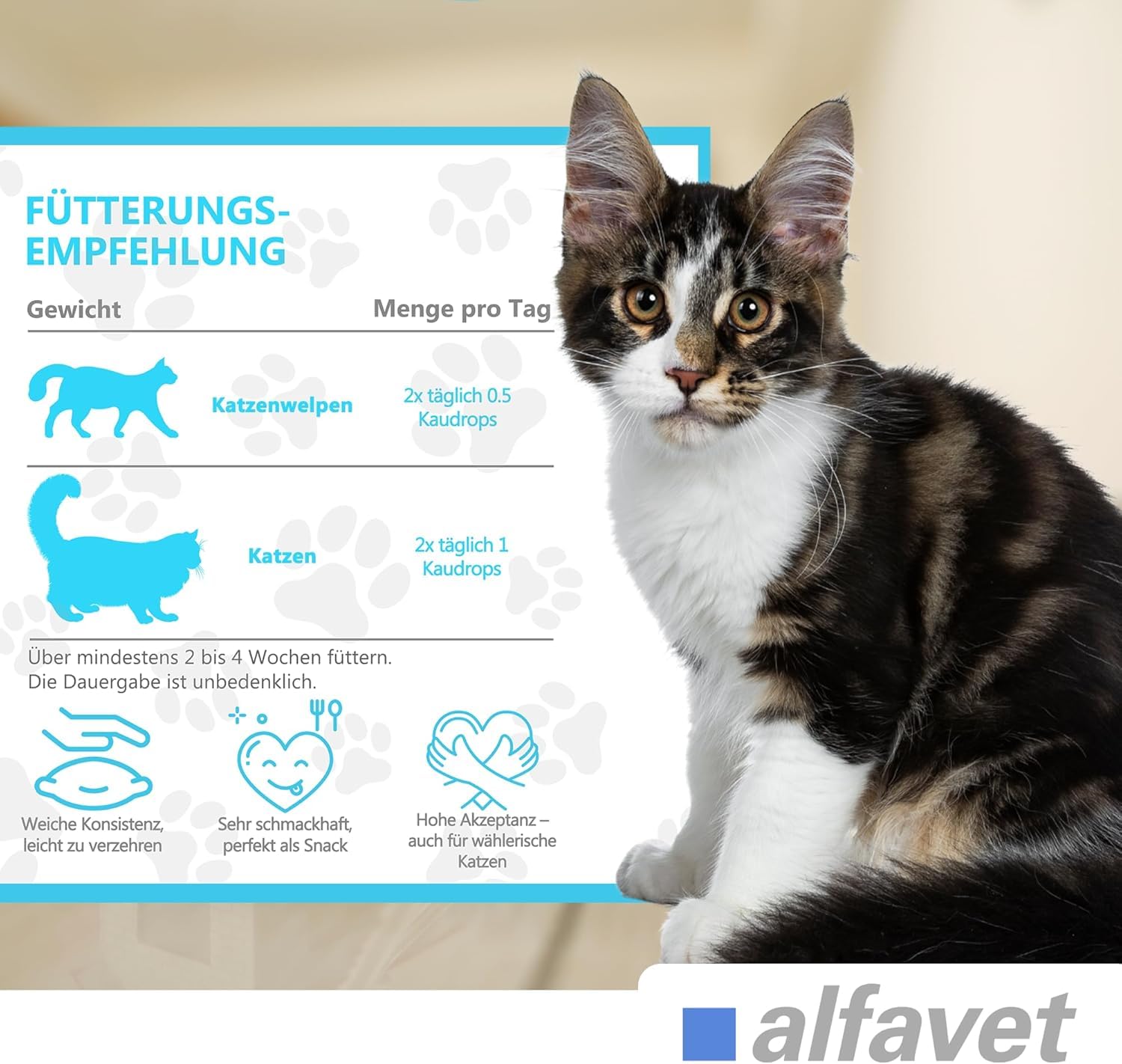 Alfavet FeliGum L-Lisina en caso de Coryza, complemento alimenticio para gatos, bolsa de 120 g, aproximadamente 60 pastillas para masticar