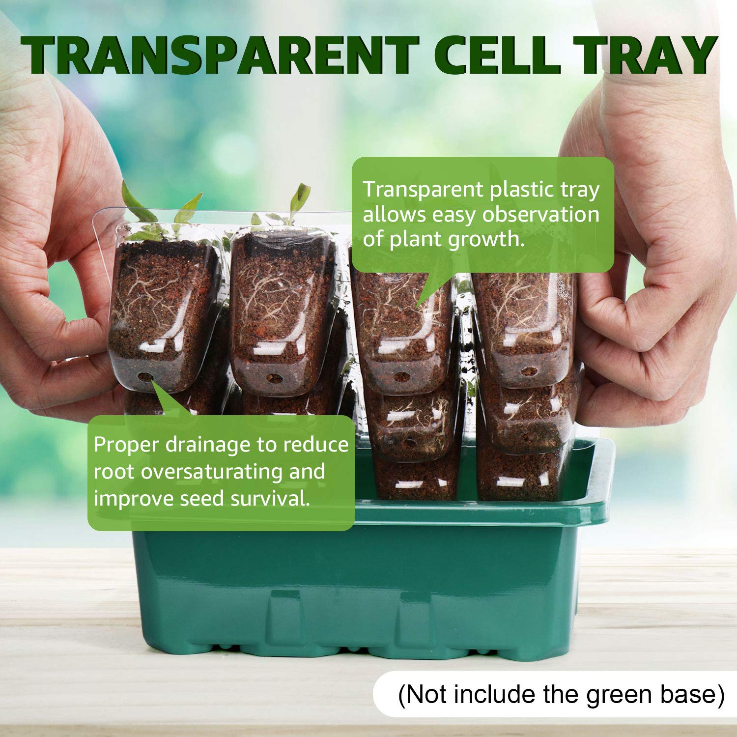 Buy Wrexat Seedling Starter Trays, 144 Cells (12 Trays, 12 Cells per Tray) Transparent Seedling