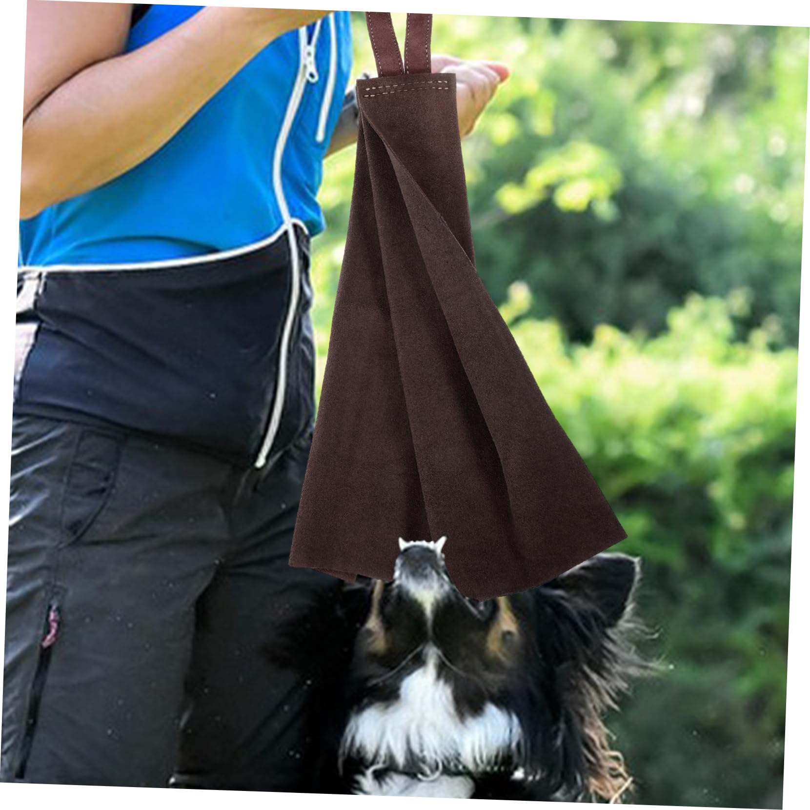 Trapo de Mordida de Piel Bovina para Cachorros, Asa