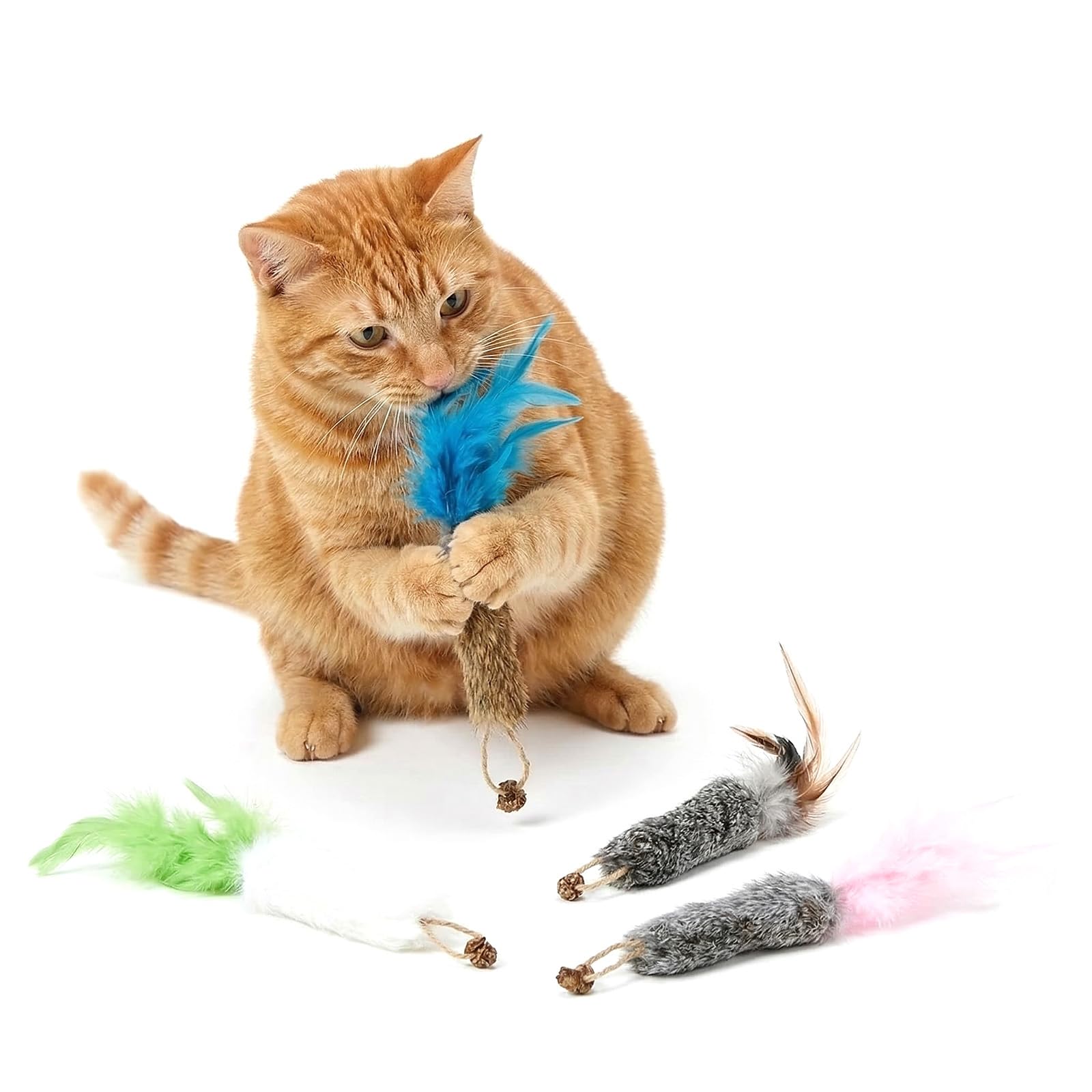 Eclove Katzenspielzeug Set, 4er Set Karotten-Design mit echtem Kaninchenfell und natürlichen Federn, Weiches Federspielzeug mit Gallenfrucht für Jagdspaß, Interaktives Spielzeug für Hauskatzen