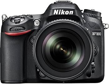 Amazon.com : Nikon D7100 24.1 MP DX-Format CMOS Digital SLR (Body