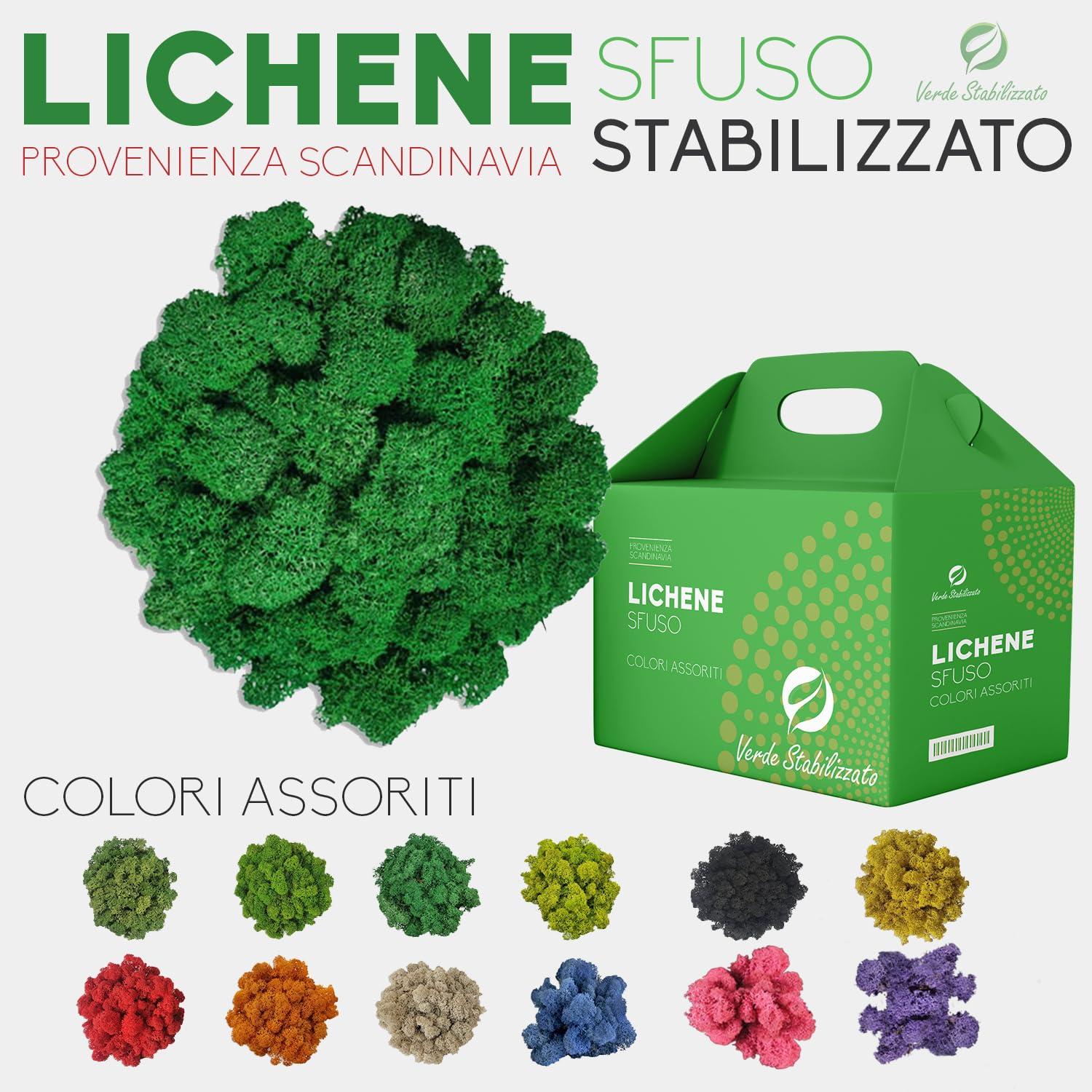 Lichene Stabilizzato Vero 100% Naturale, 500g - Muschio Scandinavo Conservato per Decorazioni - Ideale per Parete Verde, Terrario, Presepi, Modellismo e Composizioni Fai da Te (Blu Scuro, 500g)