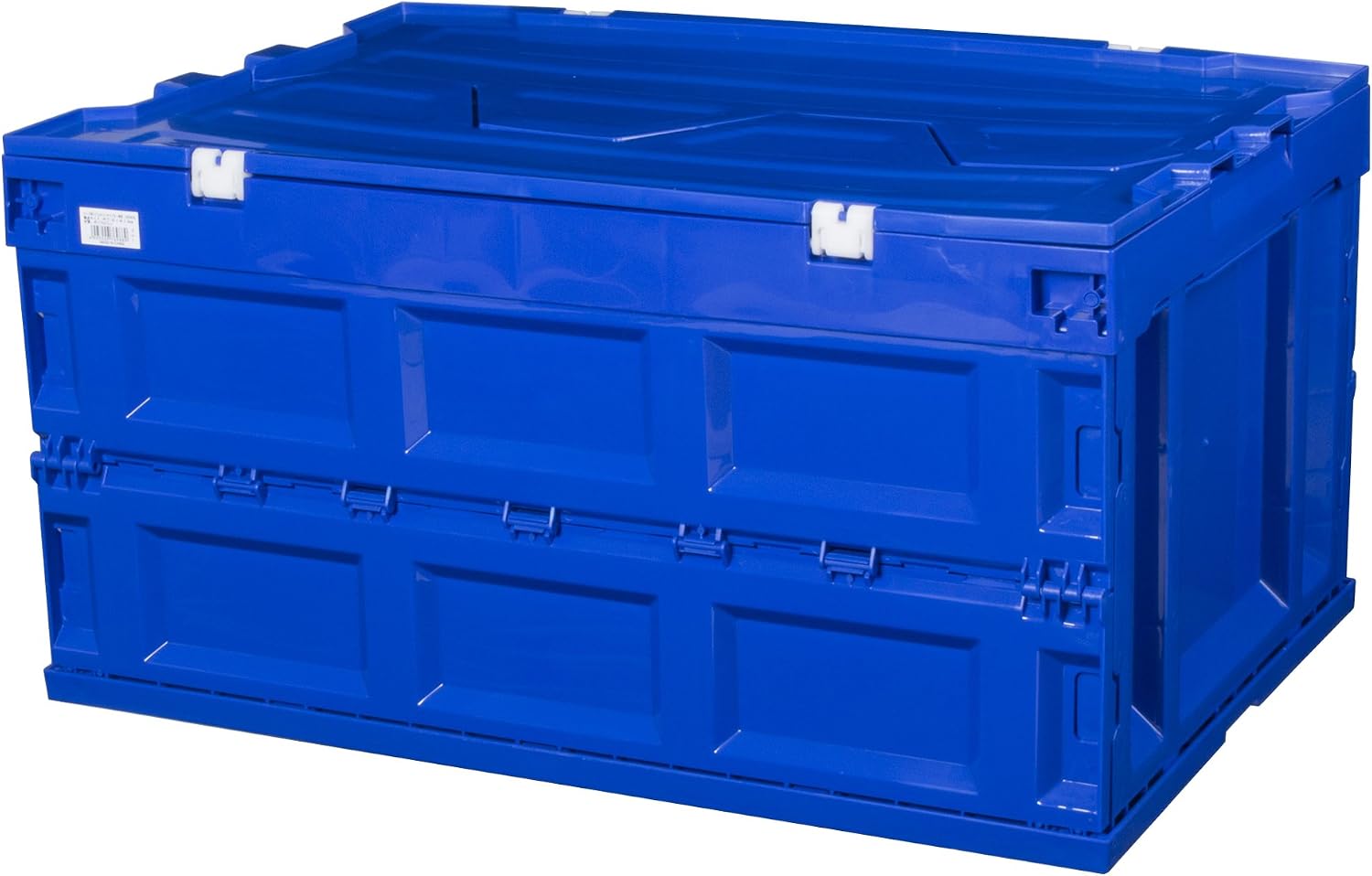 IRIS OHYAMA Folding Hard Container with Lid, blue