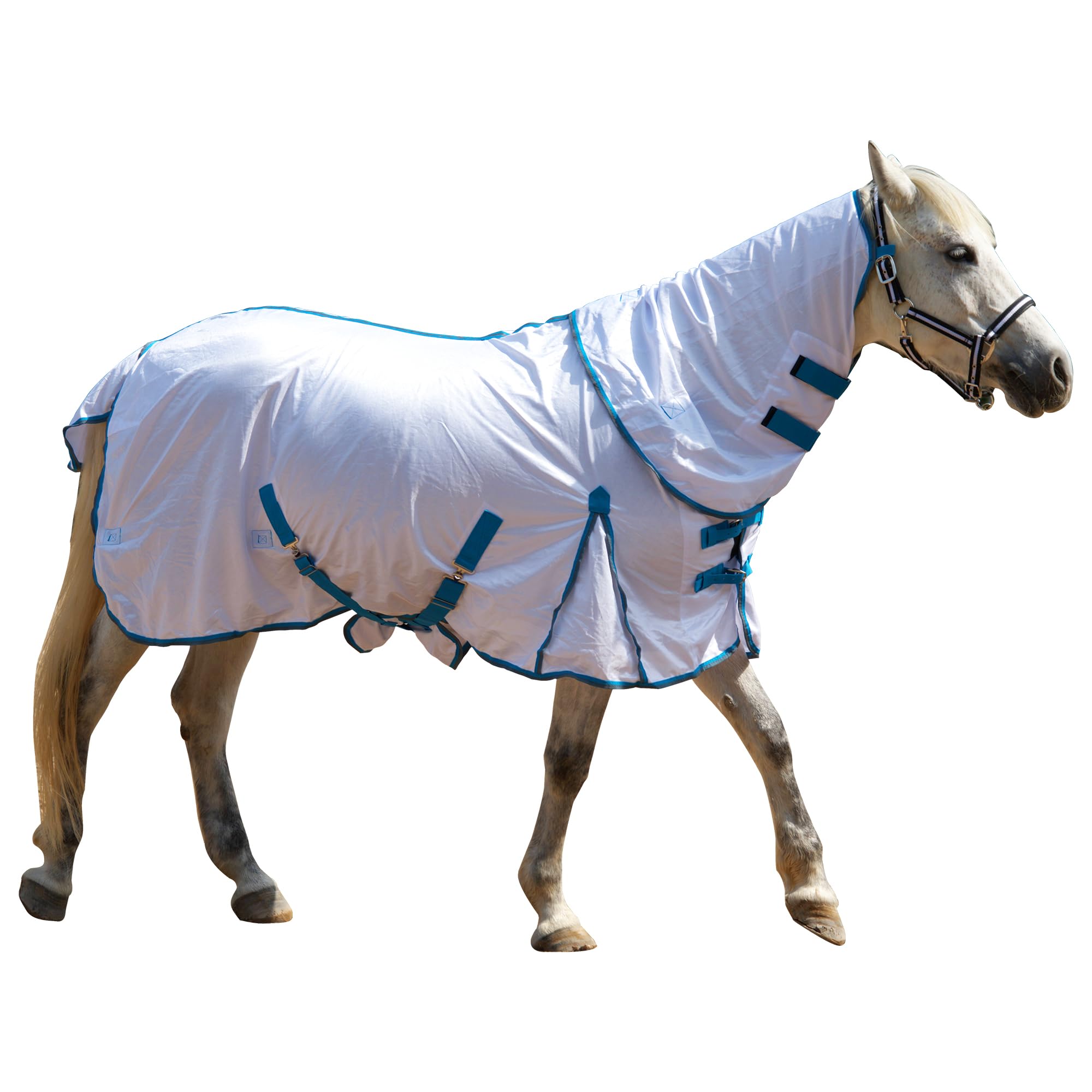 Couverture anti-mouches pour chevaux avec couvre-cou, couverture d'été respirante avec protection UV et protection contre l'abrasion, fermeture de poitrine réglable, sangles ventrales
