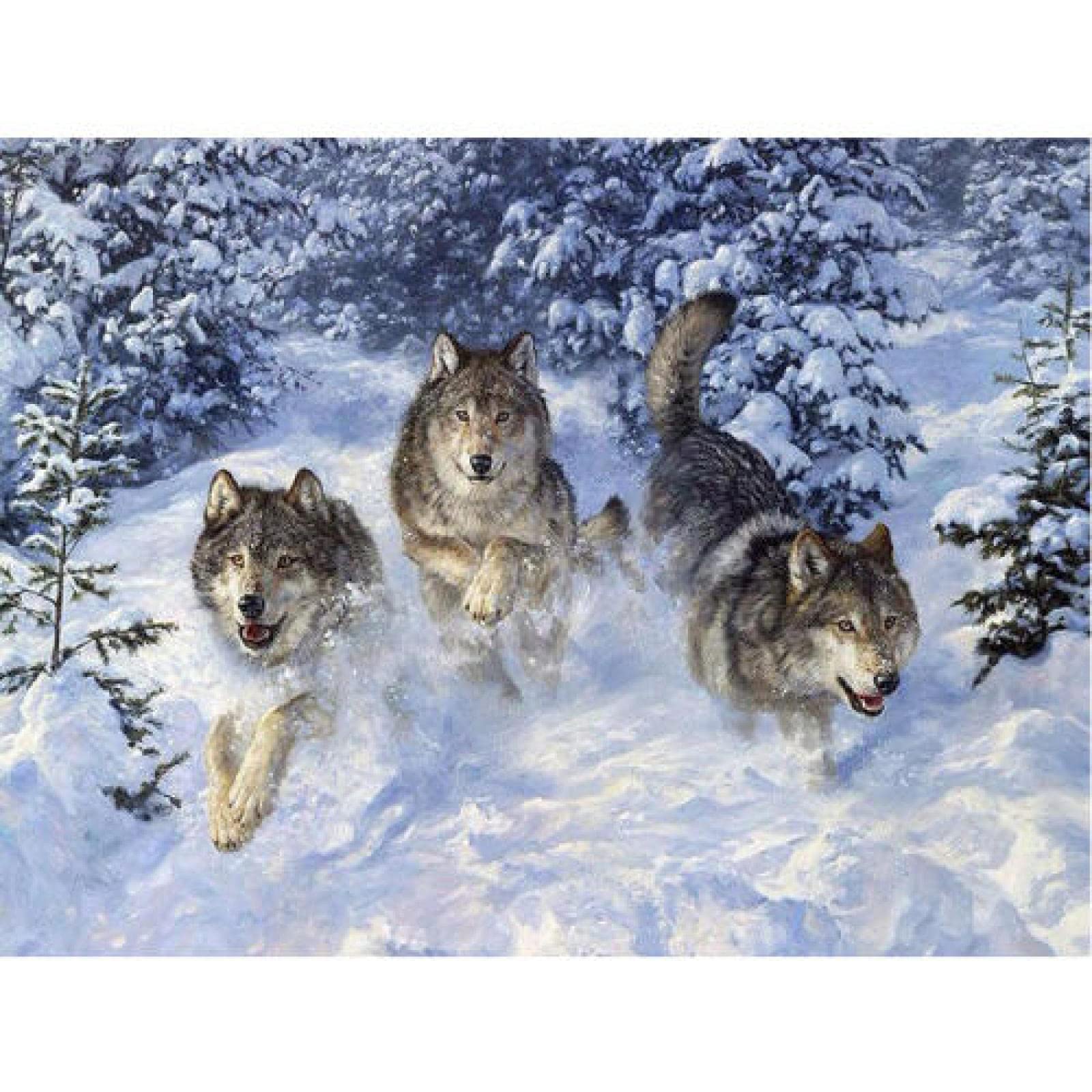 Peinture diamant loup 5D bricolage créatif, le cadeau parfait pour amateurs d'art